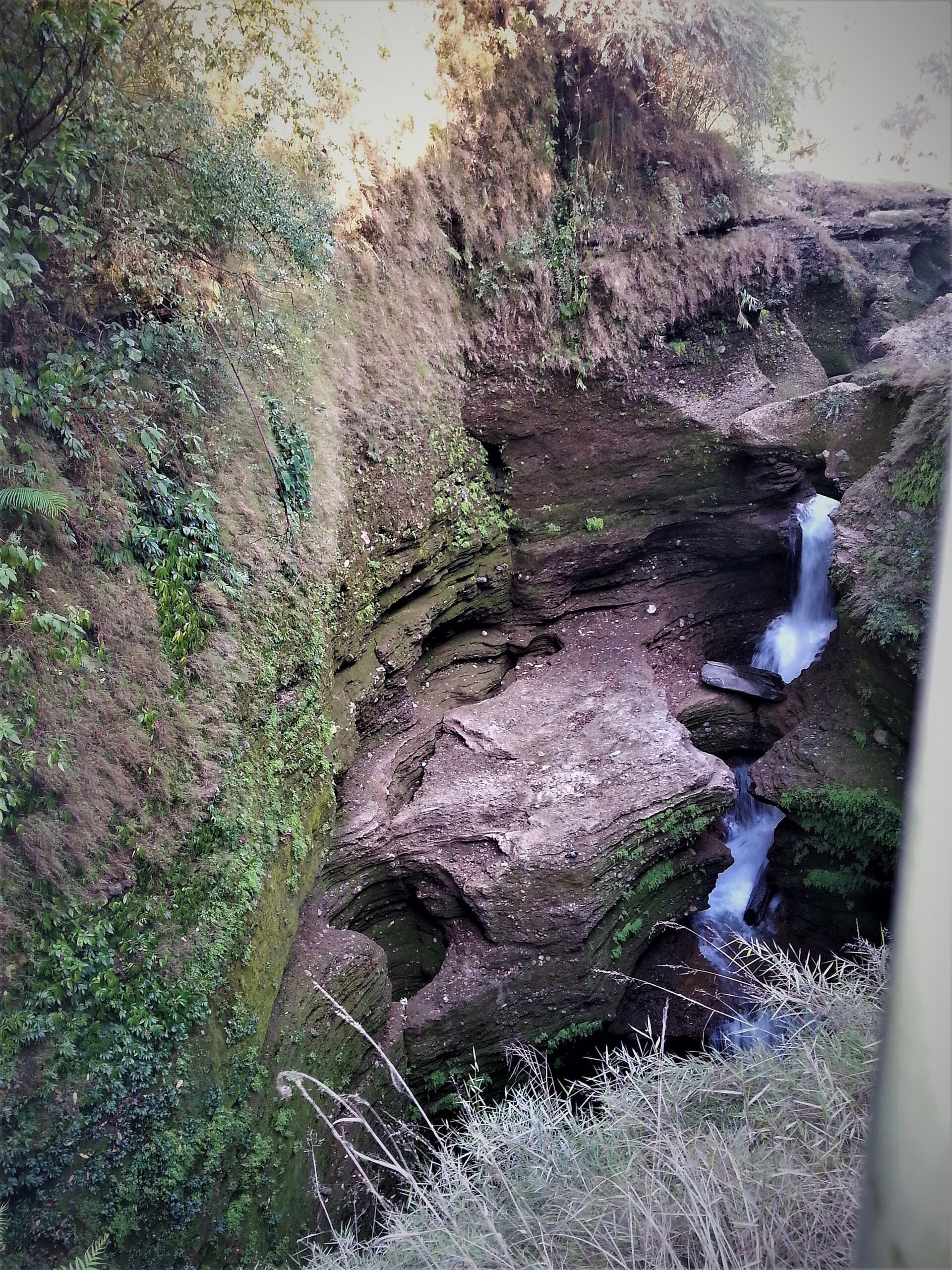 Davis Falls
