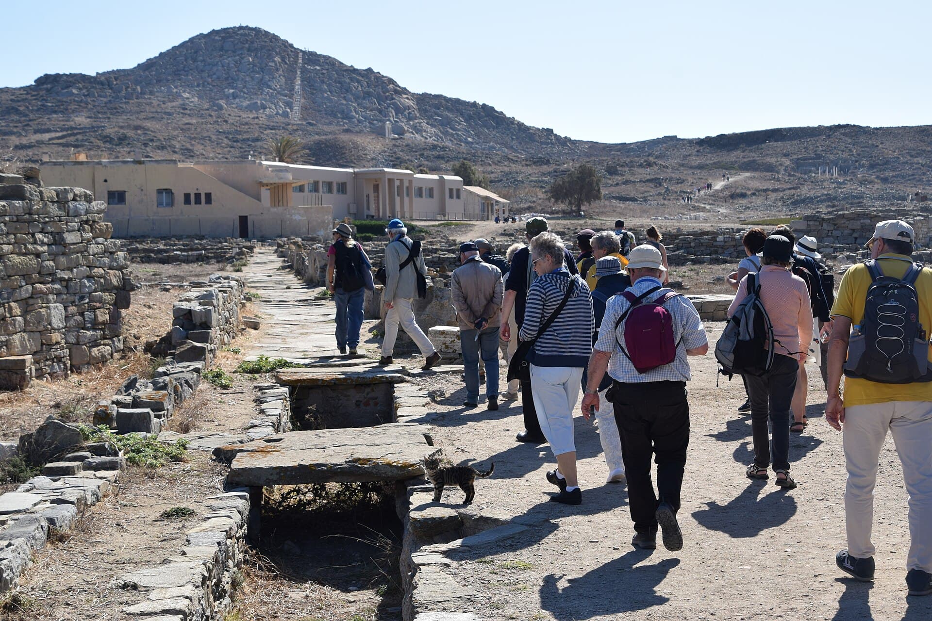 Archaeological Museum of Delos, Delos