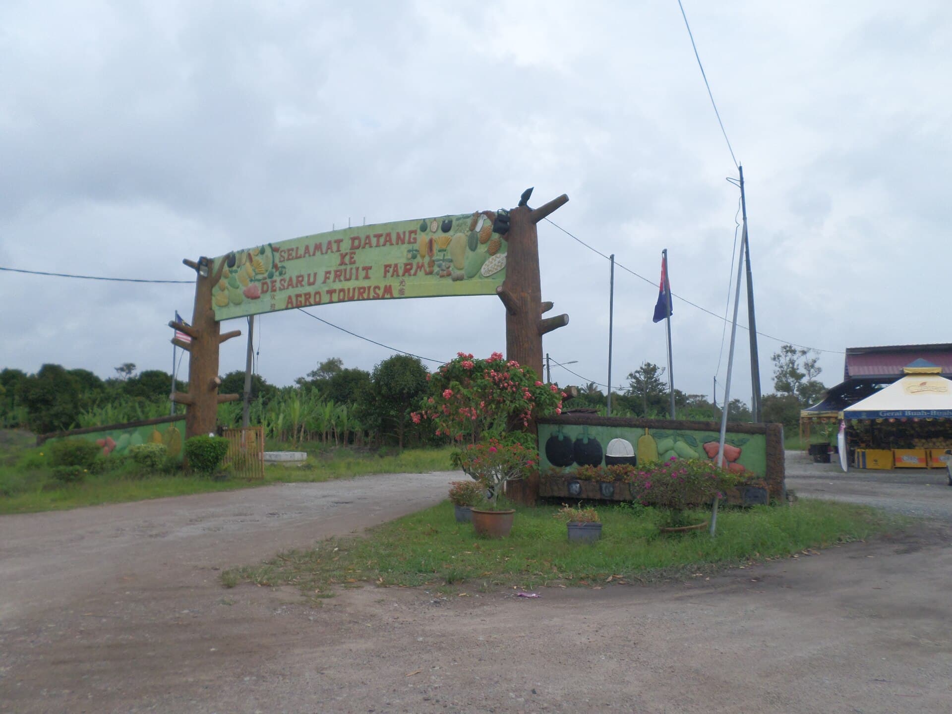 Desaru Fruit Farm