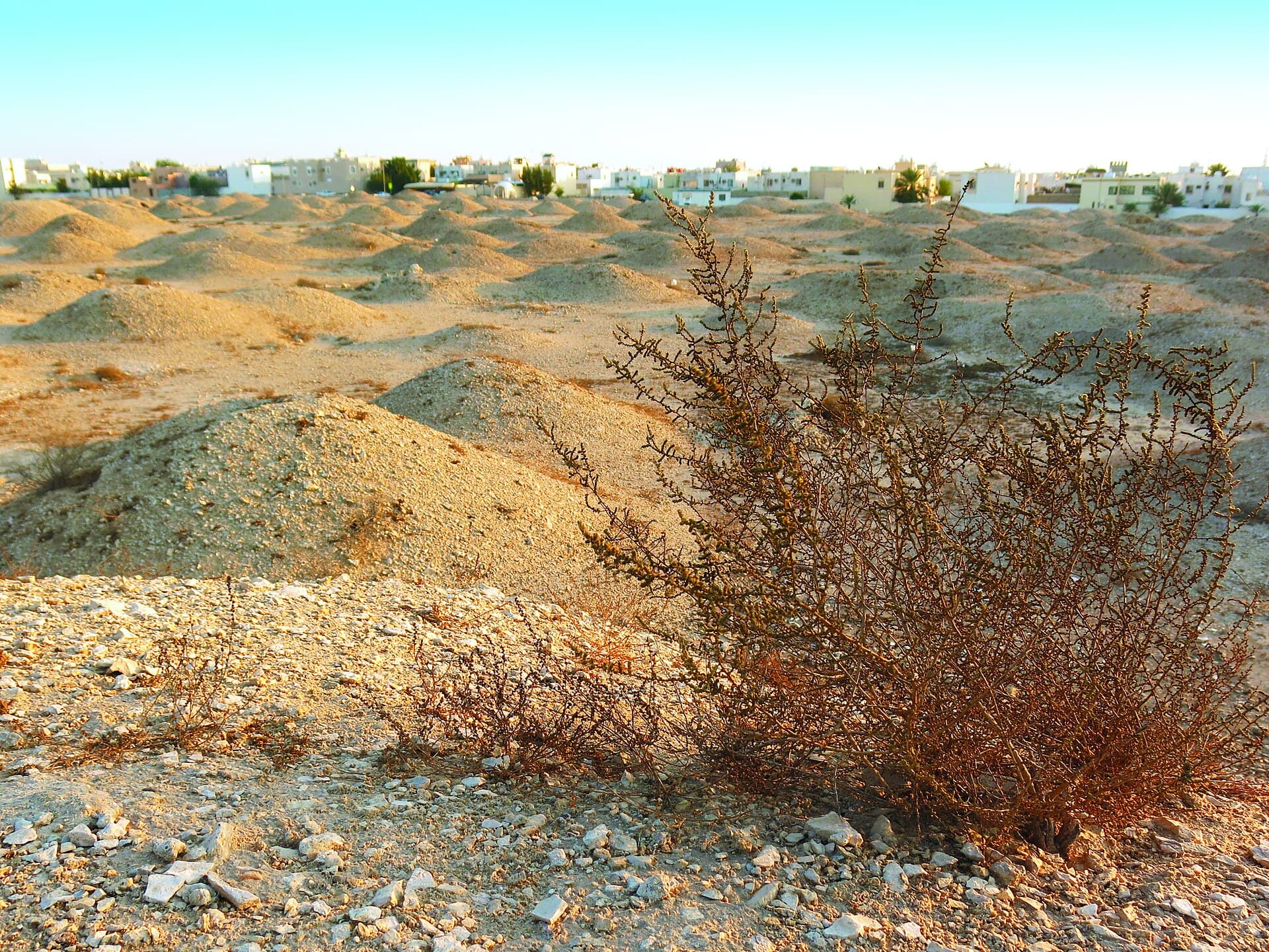 Dilmun Burial Mounds