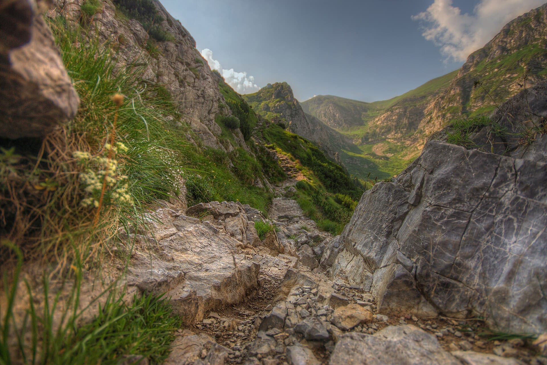 Dolina Małej Łąki, Zakopane