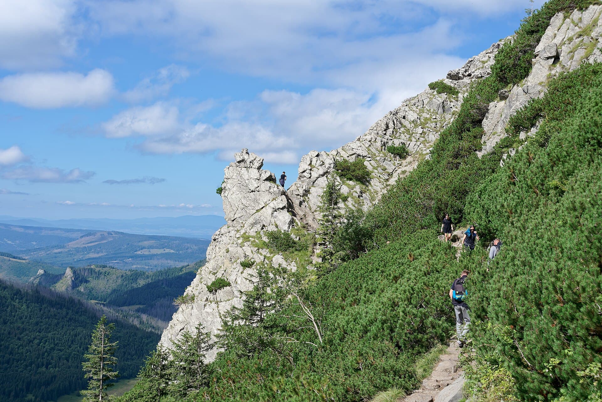 Dolina Małej Łąki, Zakopane