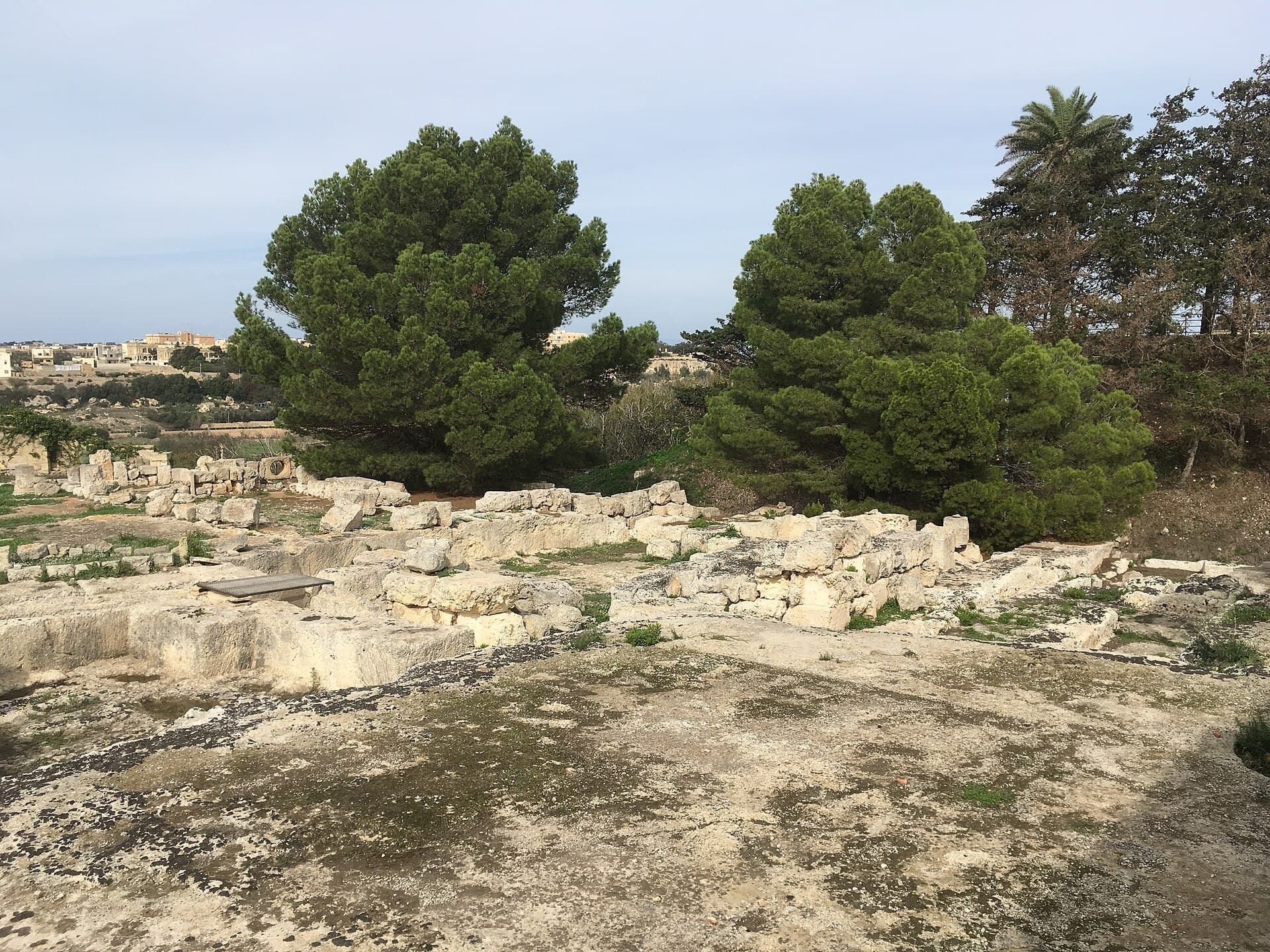 The Domvs Romana, Valletta