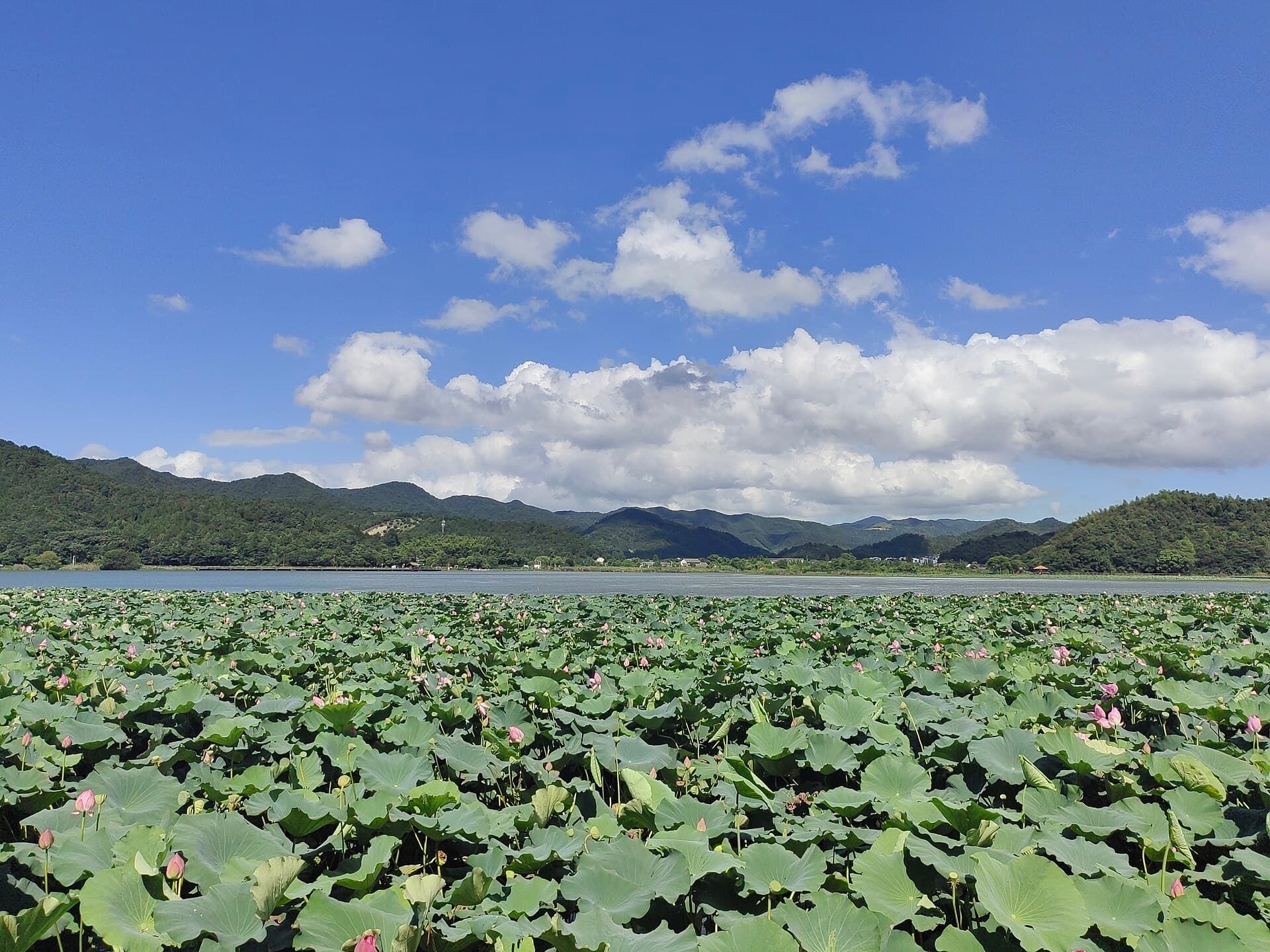 Dongqian Lake