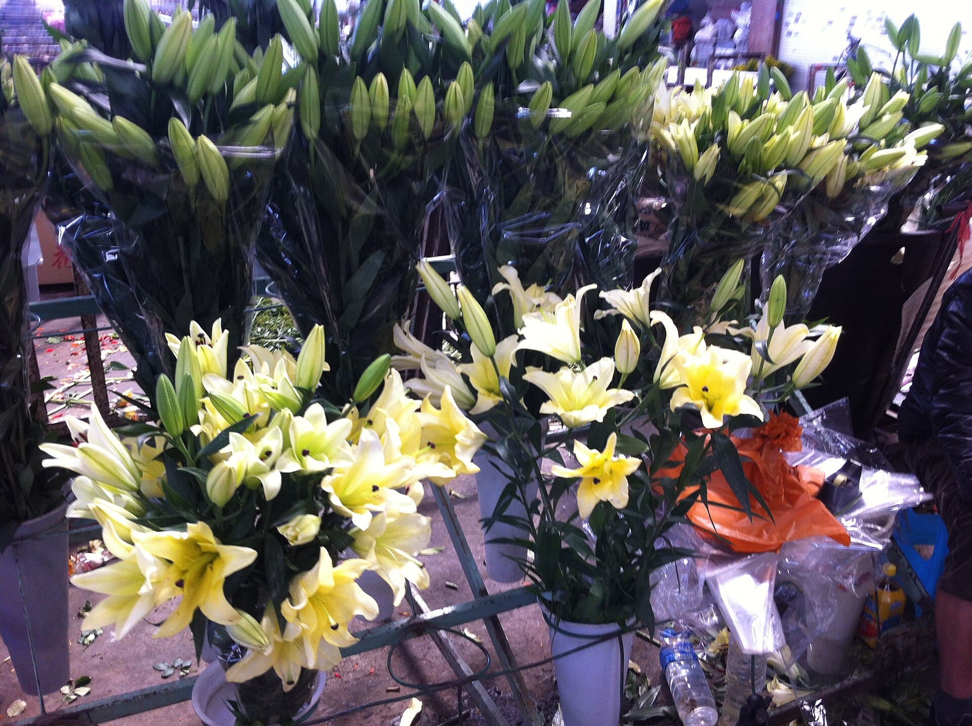 Dounan Flower Market