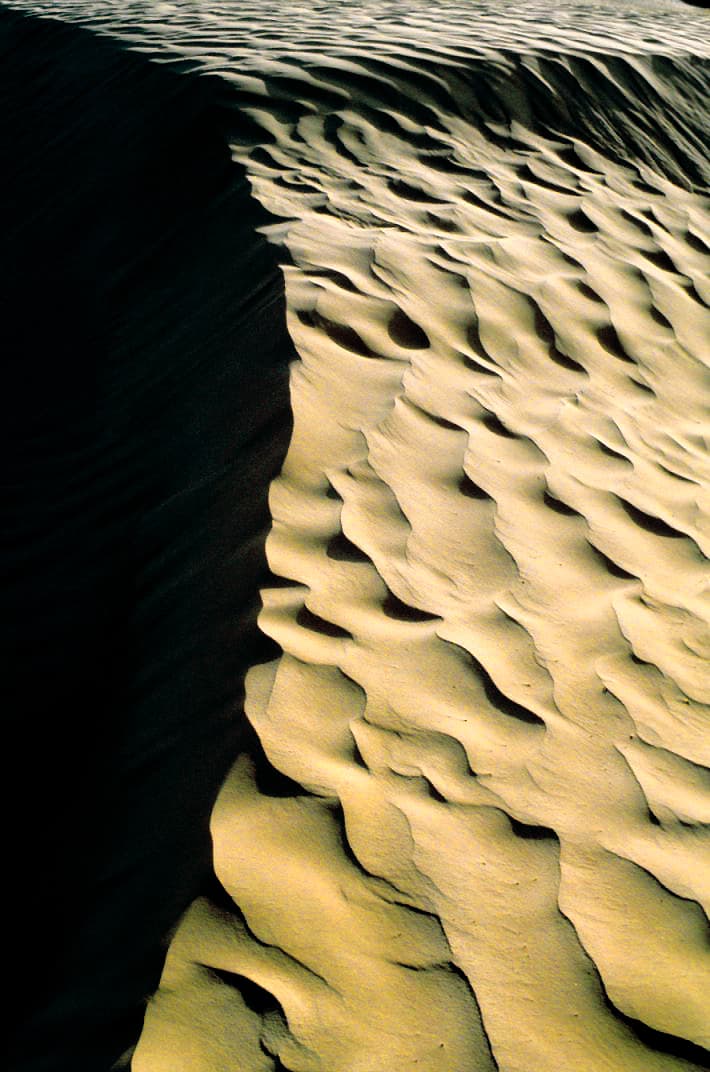 Douz, gateway to the Sahara