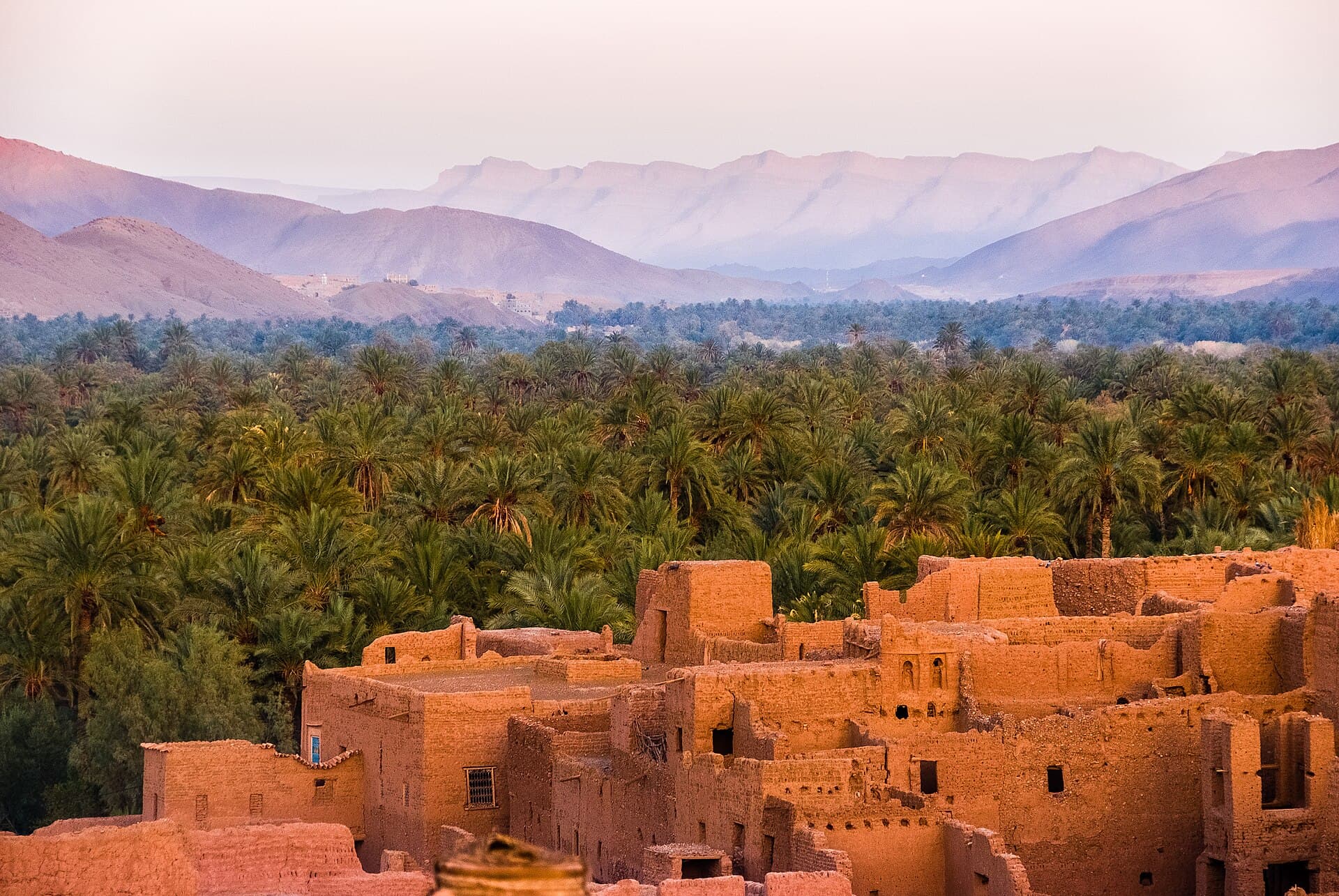 Draa Valley Oases