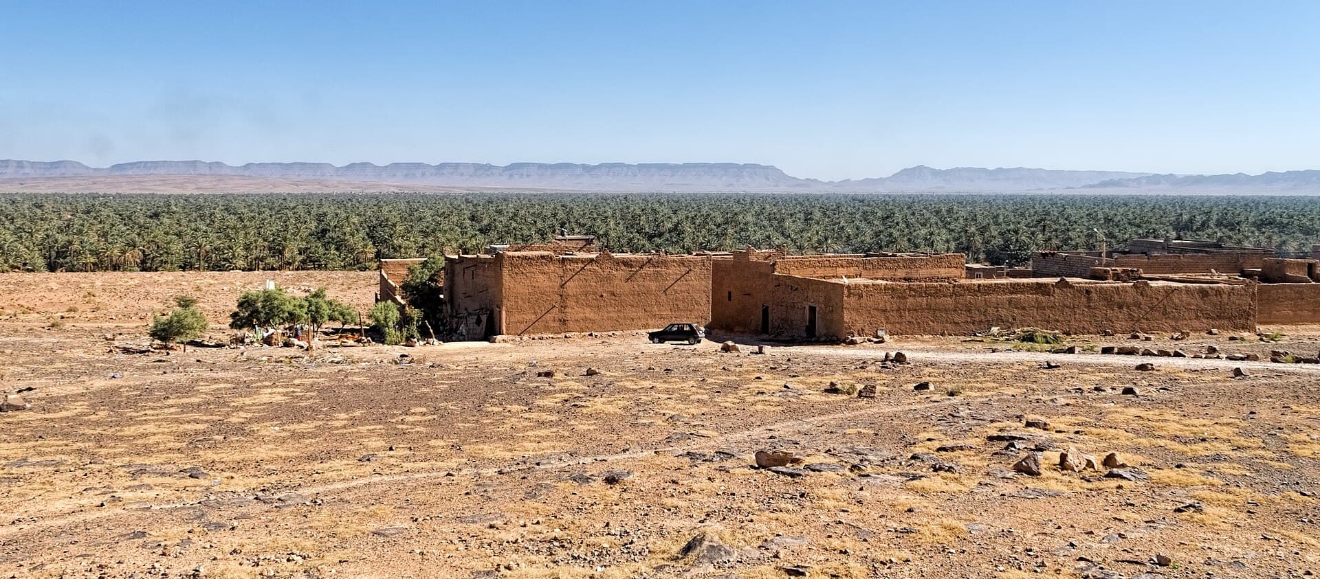Draa Valley Oases
