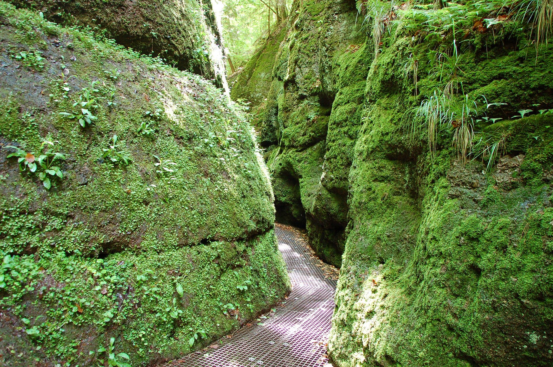 The Dragon's Gorge, Eisenach