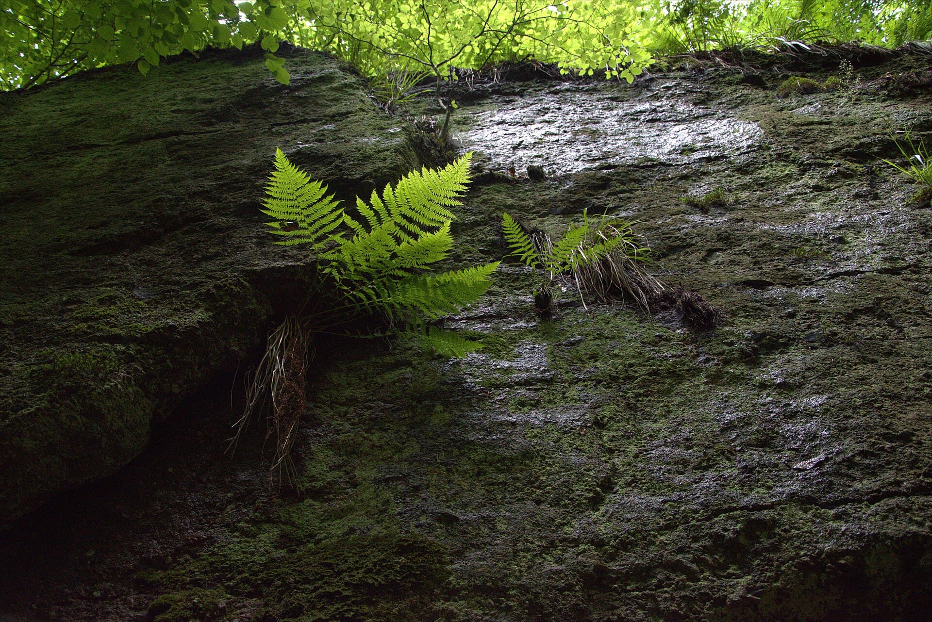 The Dragon's Gorge, Eisenach