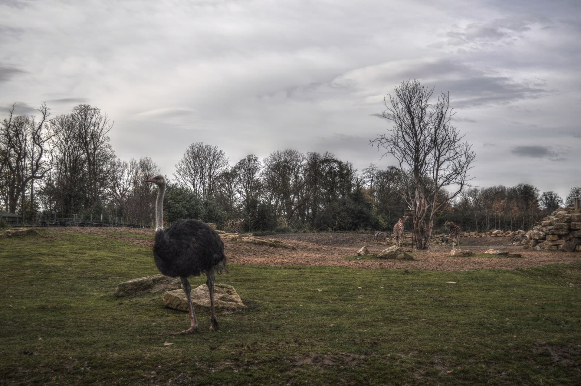 Dublin Zoo