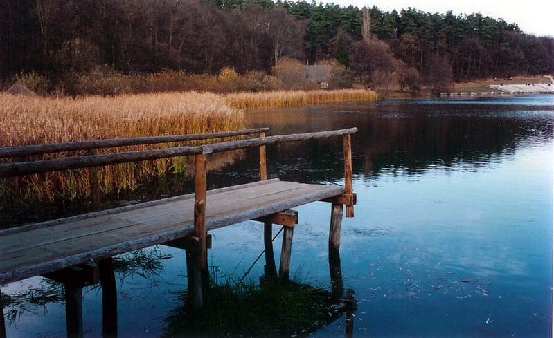 The lake inside the forest at the ASTRA open-air museum