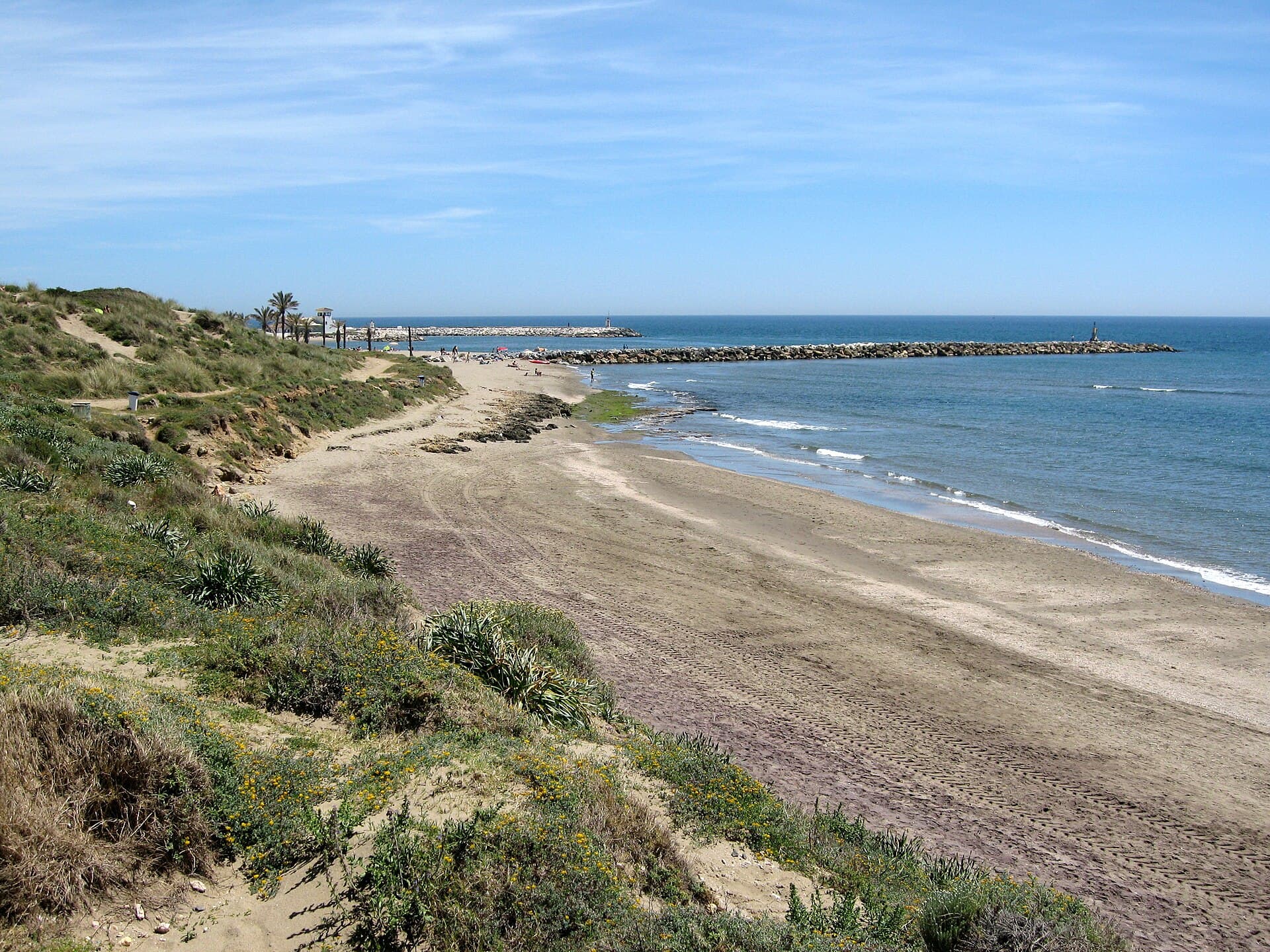 The protected Artola dunes on the Cabopino shore