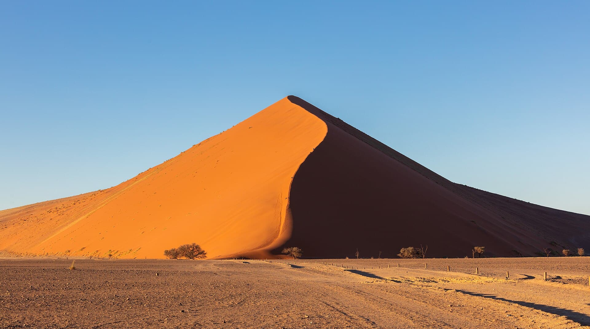 Dune 45