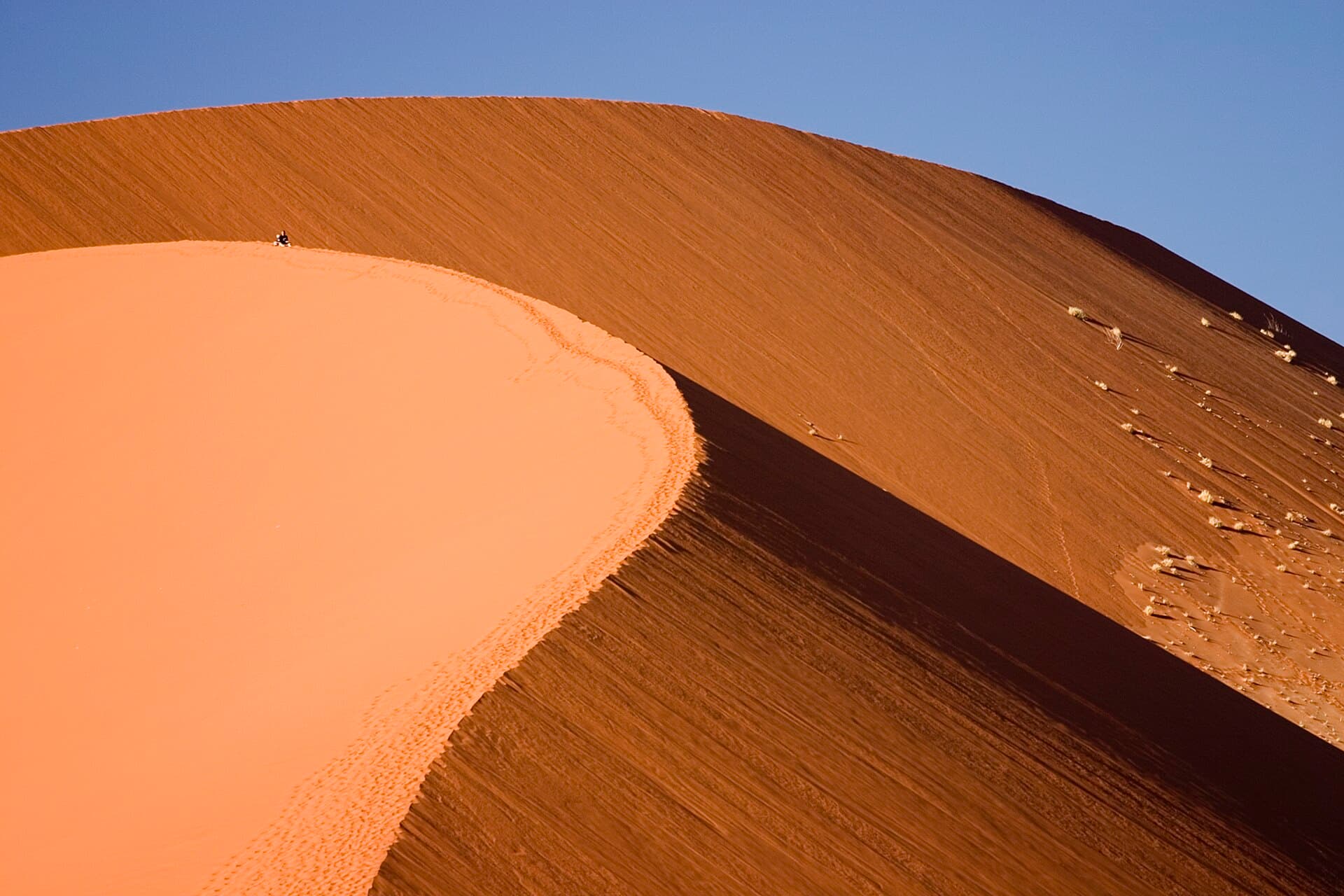 Dune 45