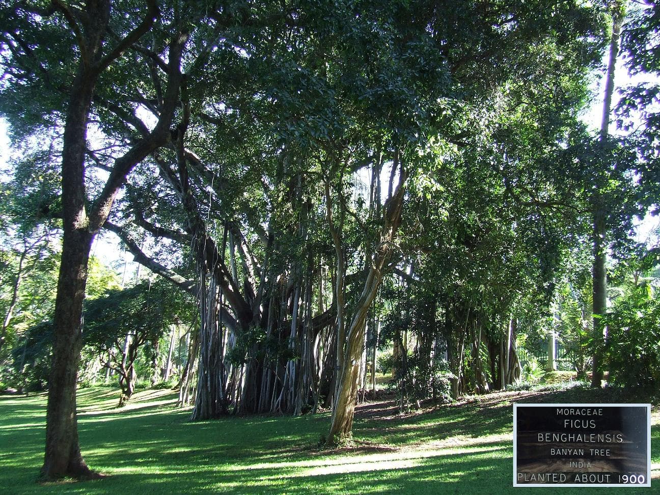 Durban Botanic Gardens