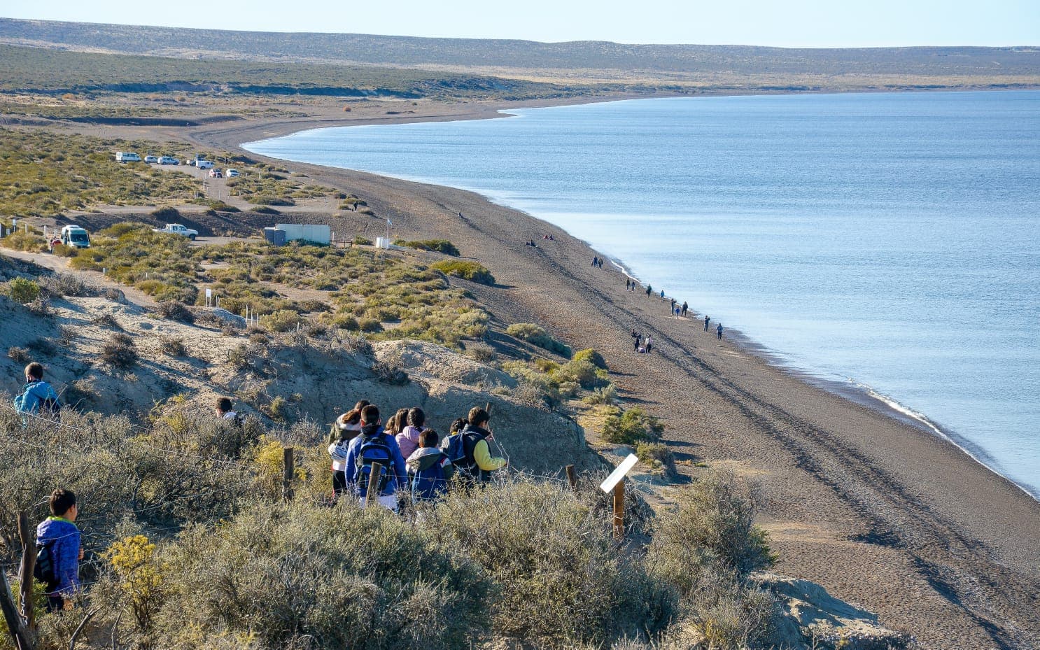 El Doradillo (Shore Whale Watching), Puerto Madryn