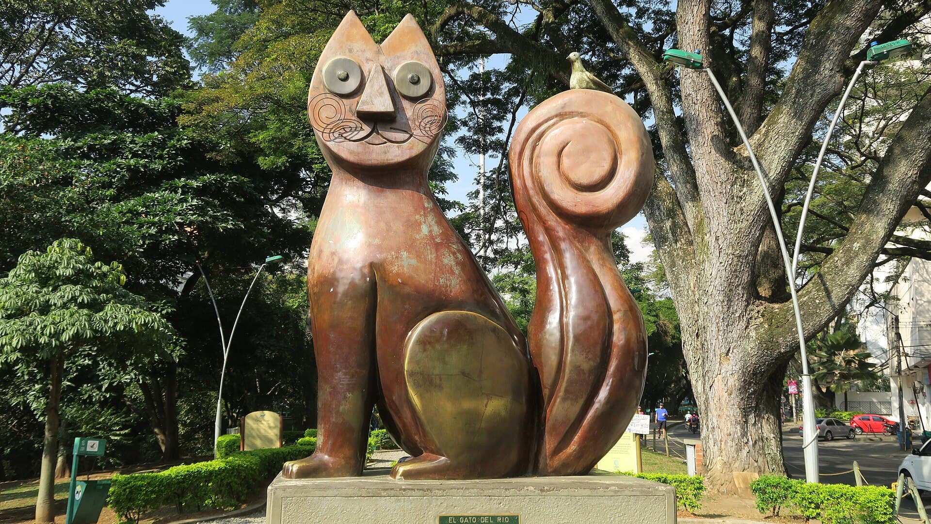 El Gato del Río, Cali