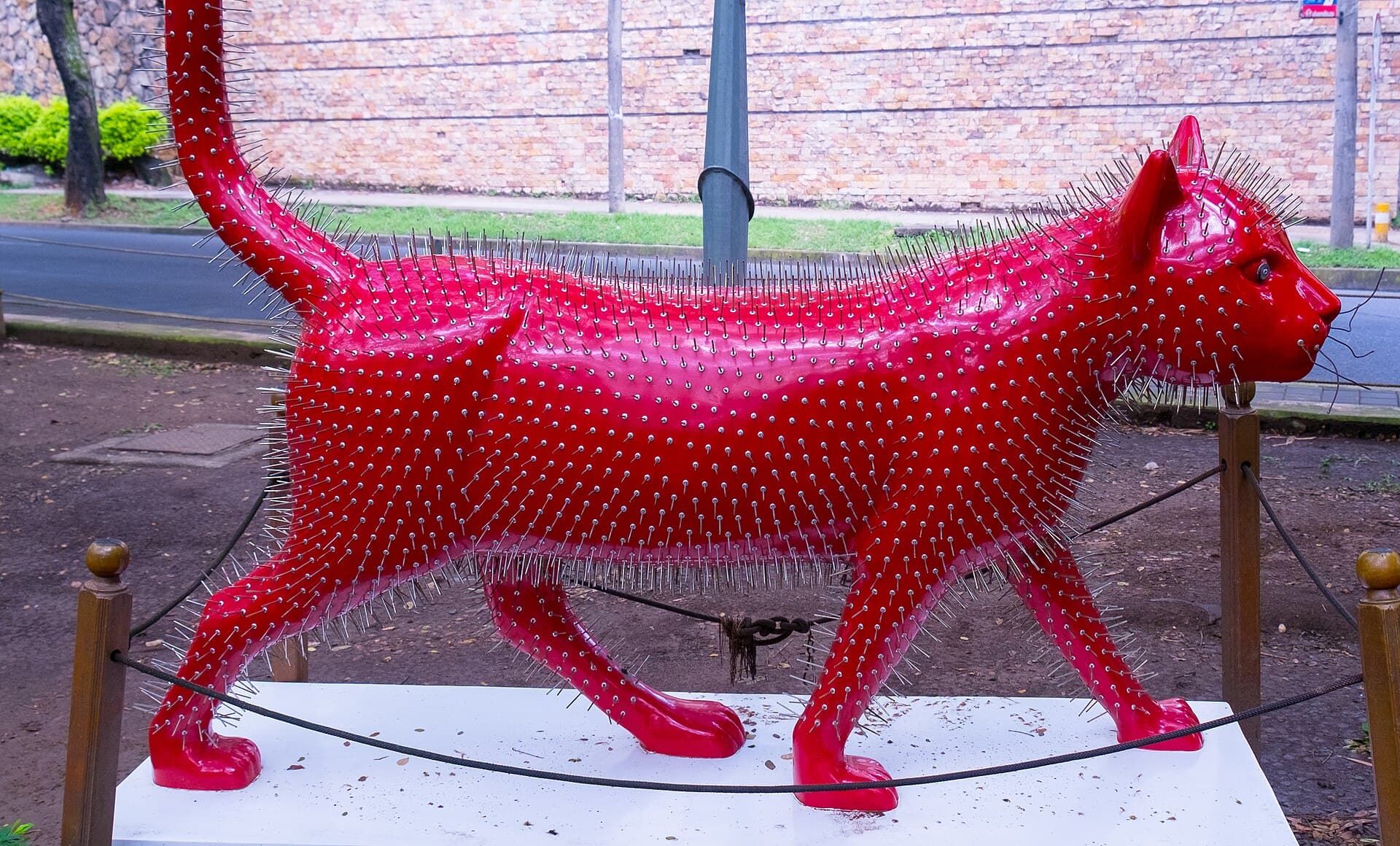 El Gato del Río, Cali