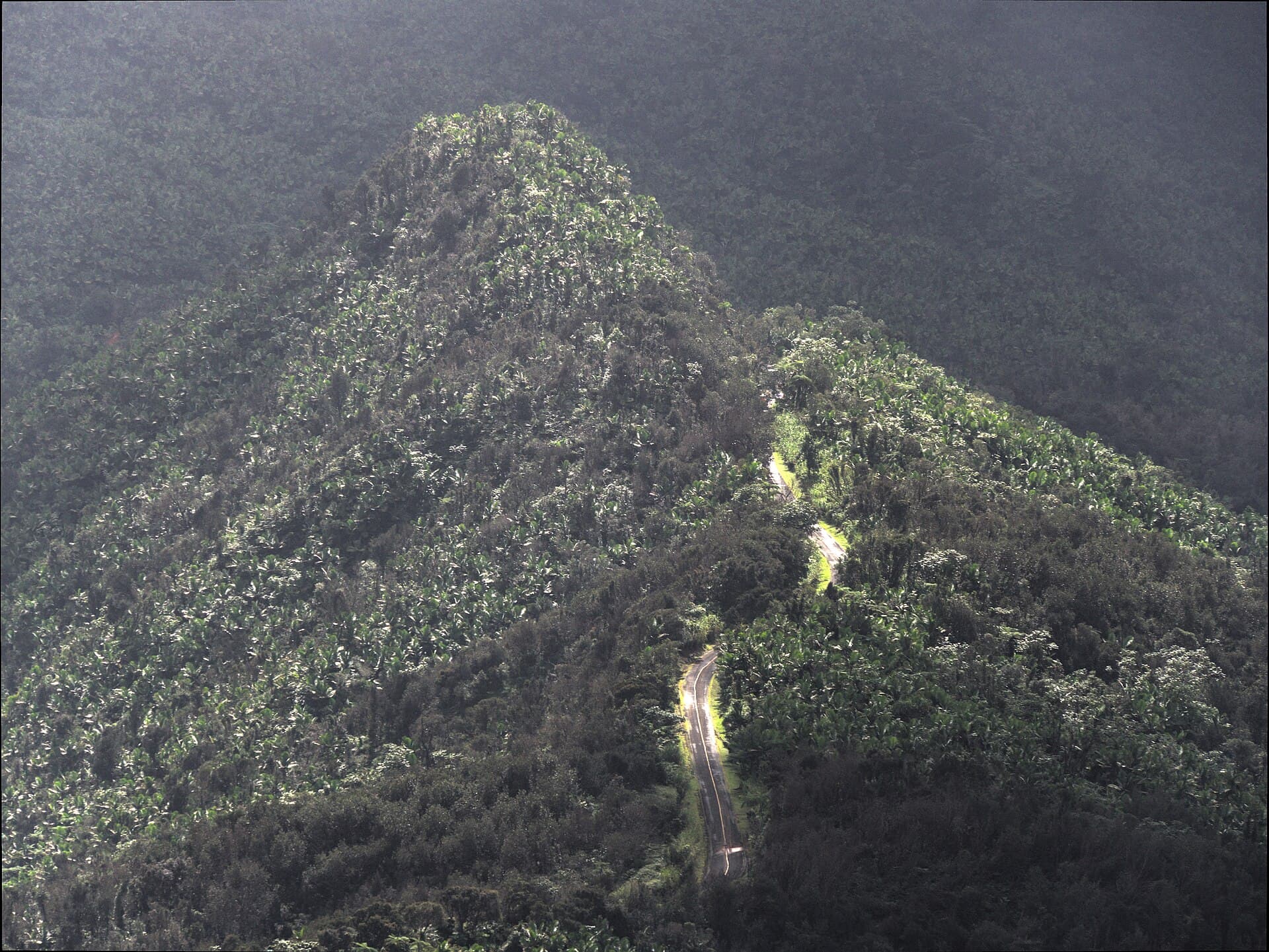 El Yunque rainforest