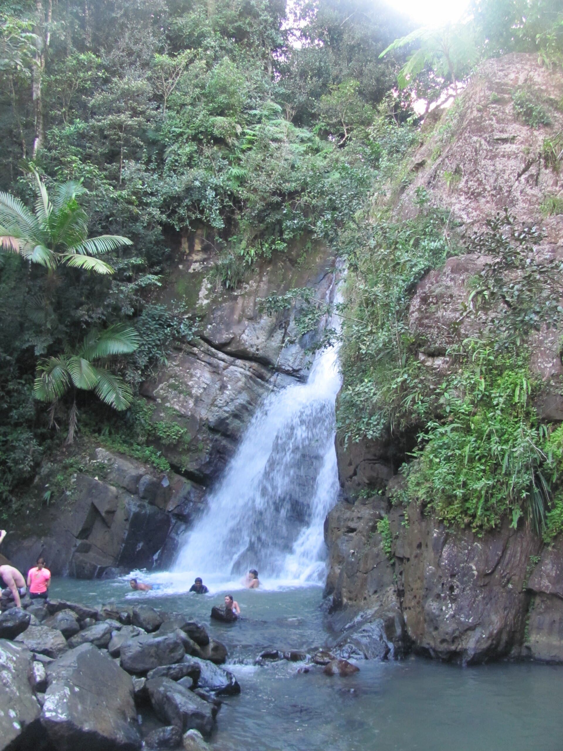 El Yunque rainforest
