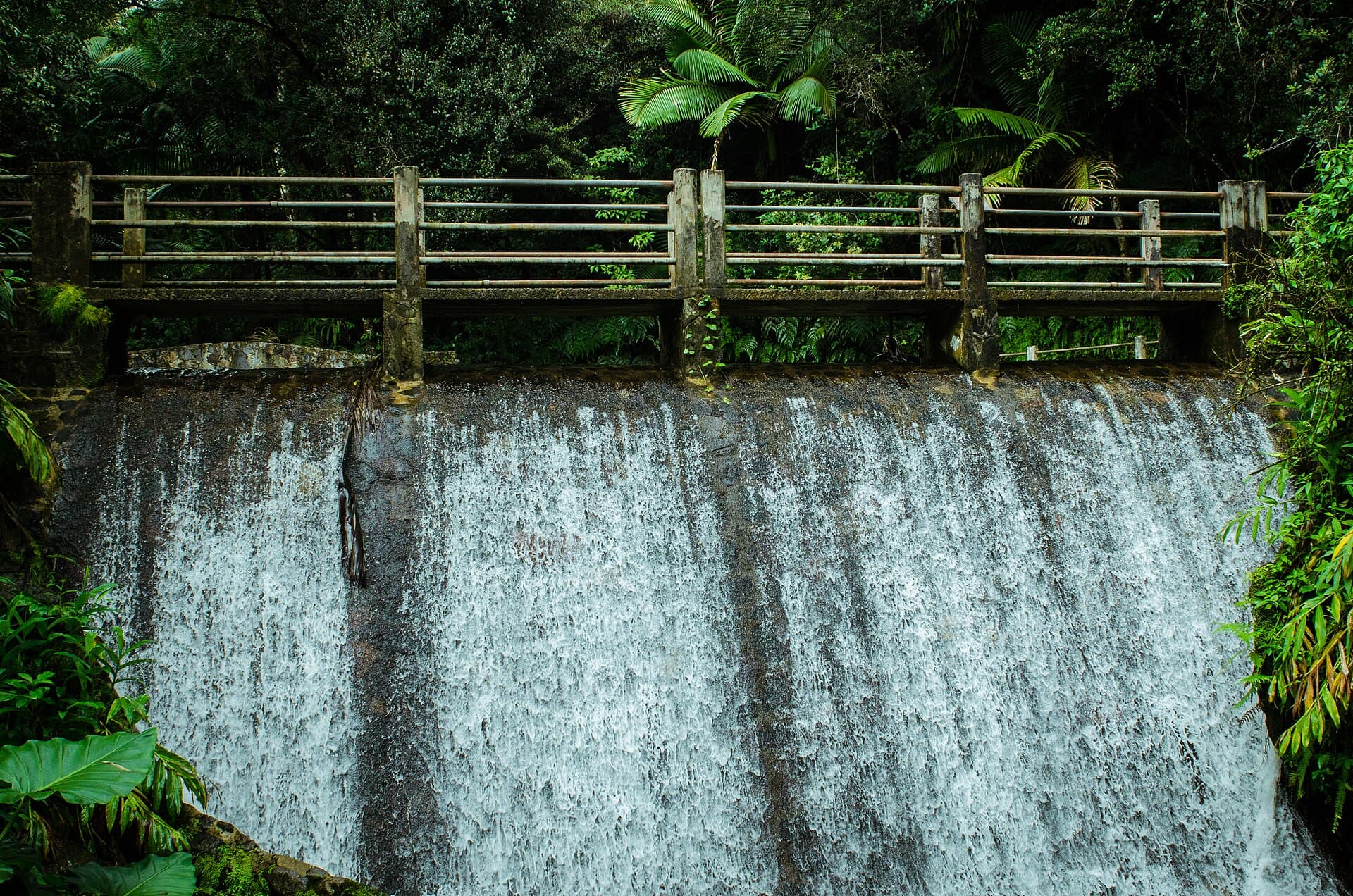 El Yunque rainforest