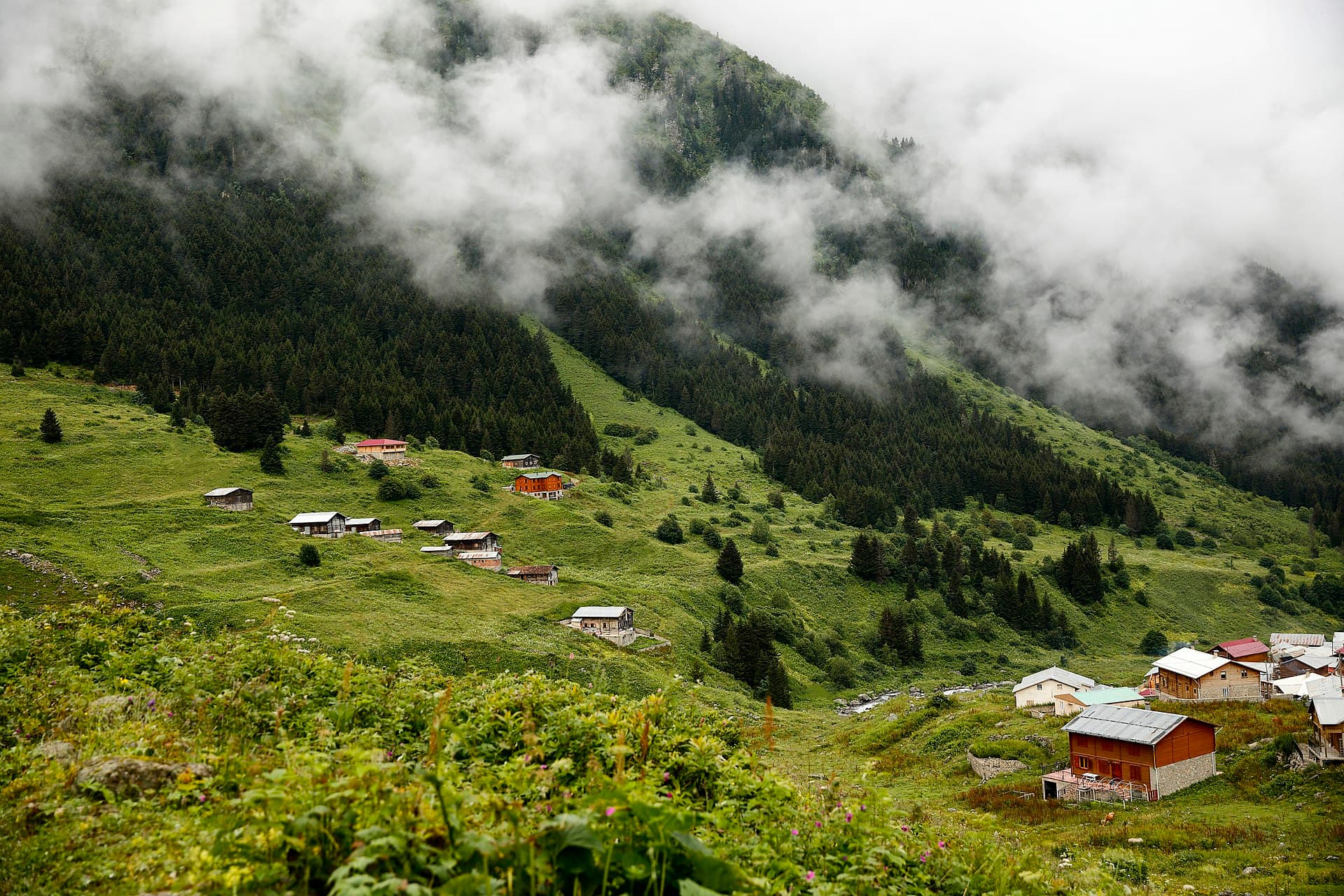 Elevit Plateau, Rize