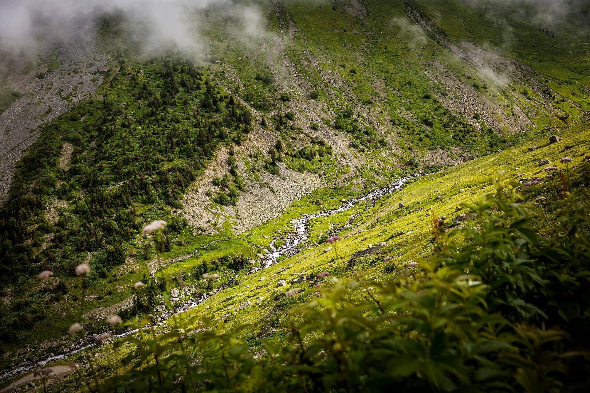 Elevit Plateau, Rize