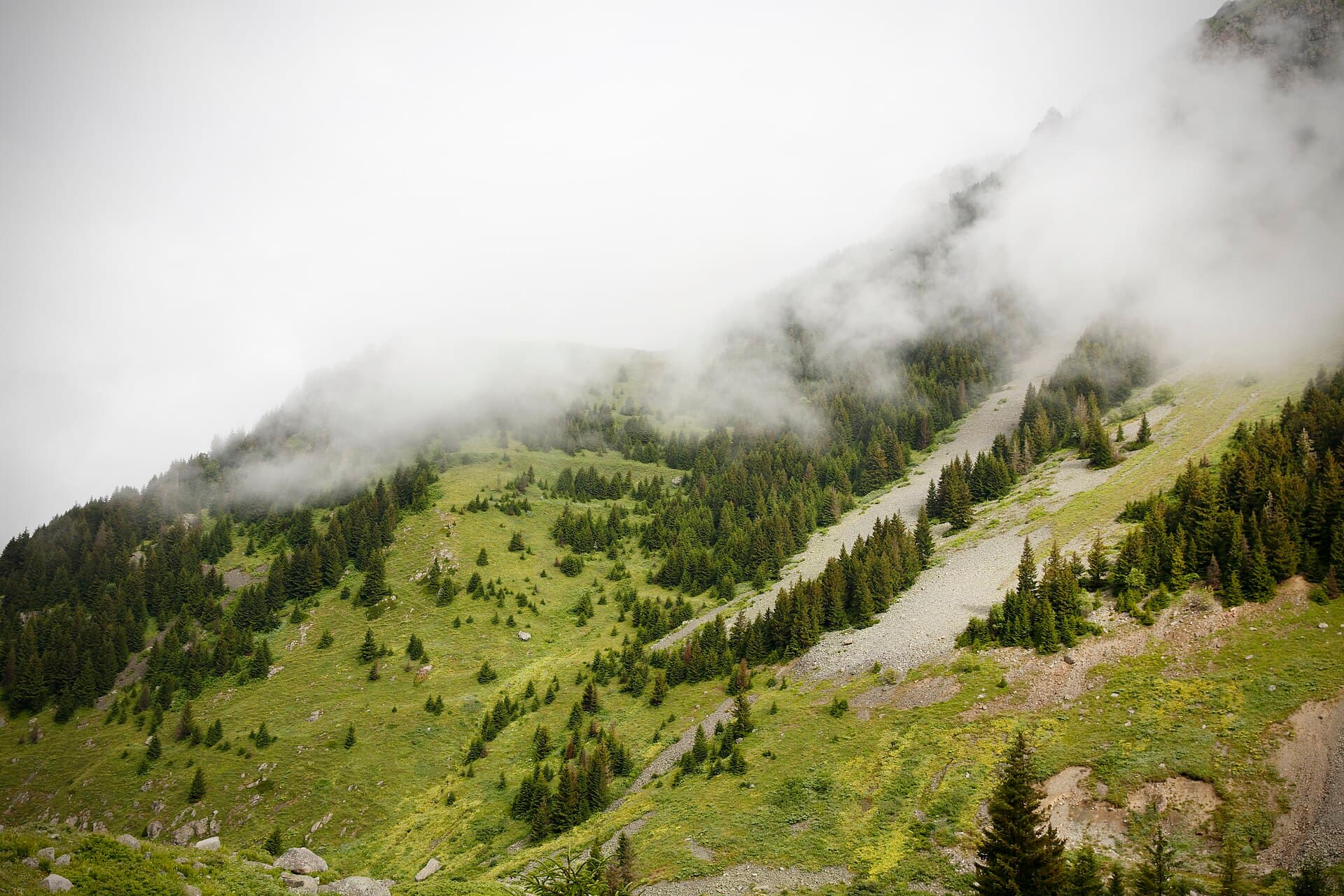 Elevit Plateau, Rize