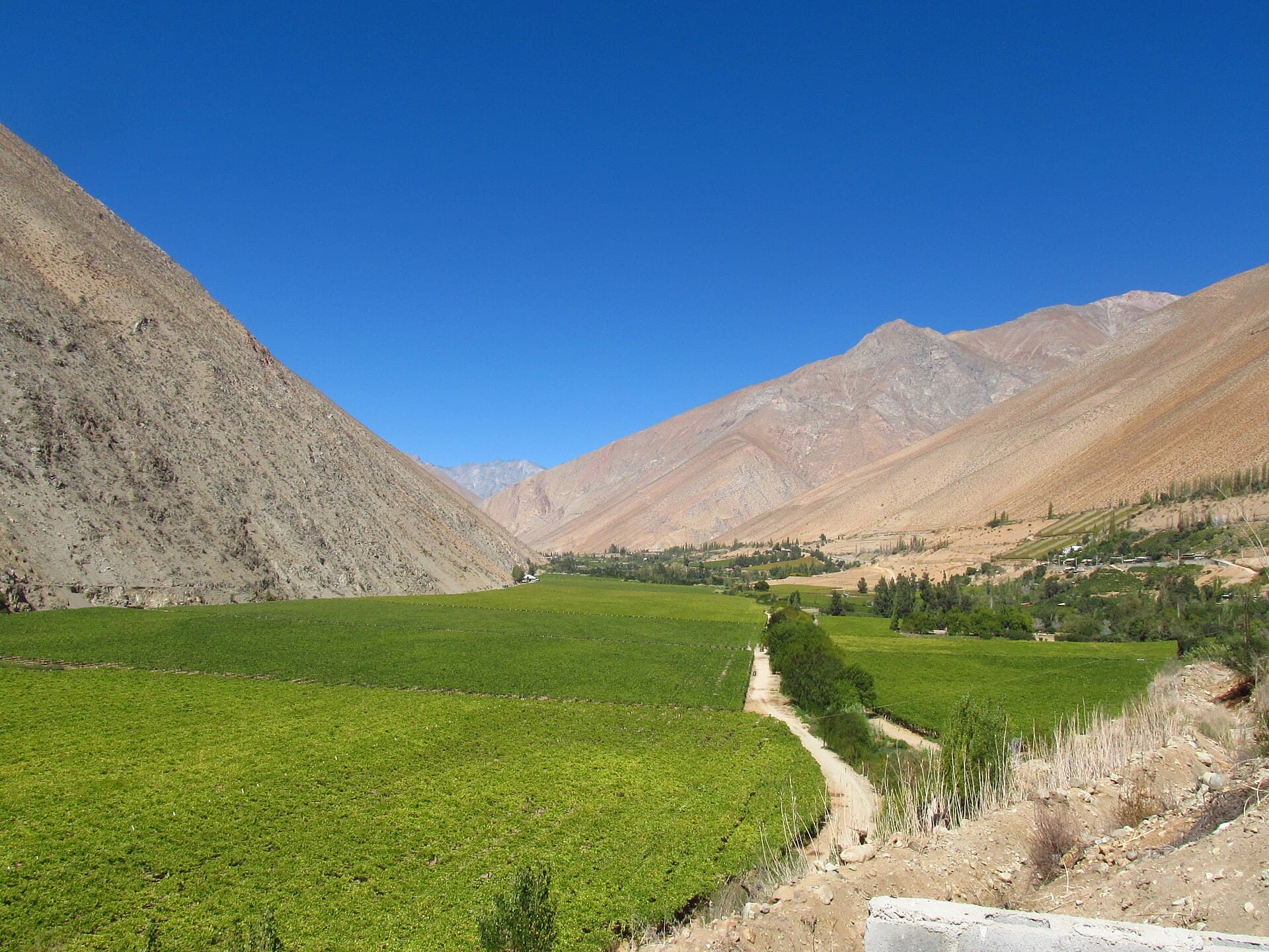 Elqui Valley