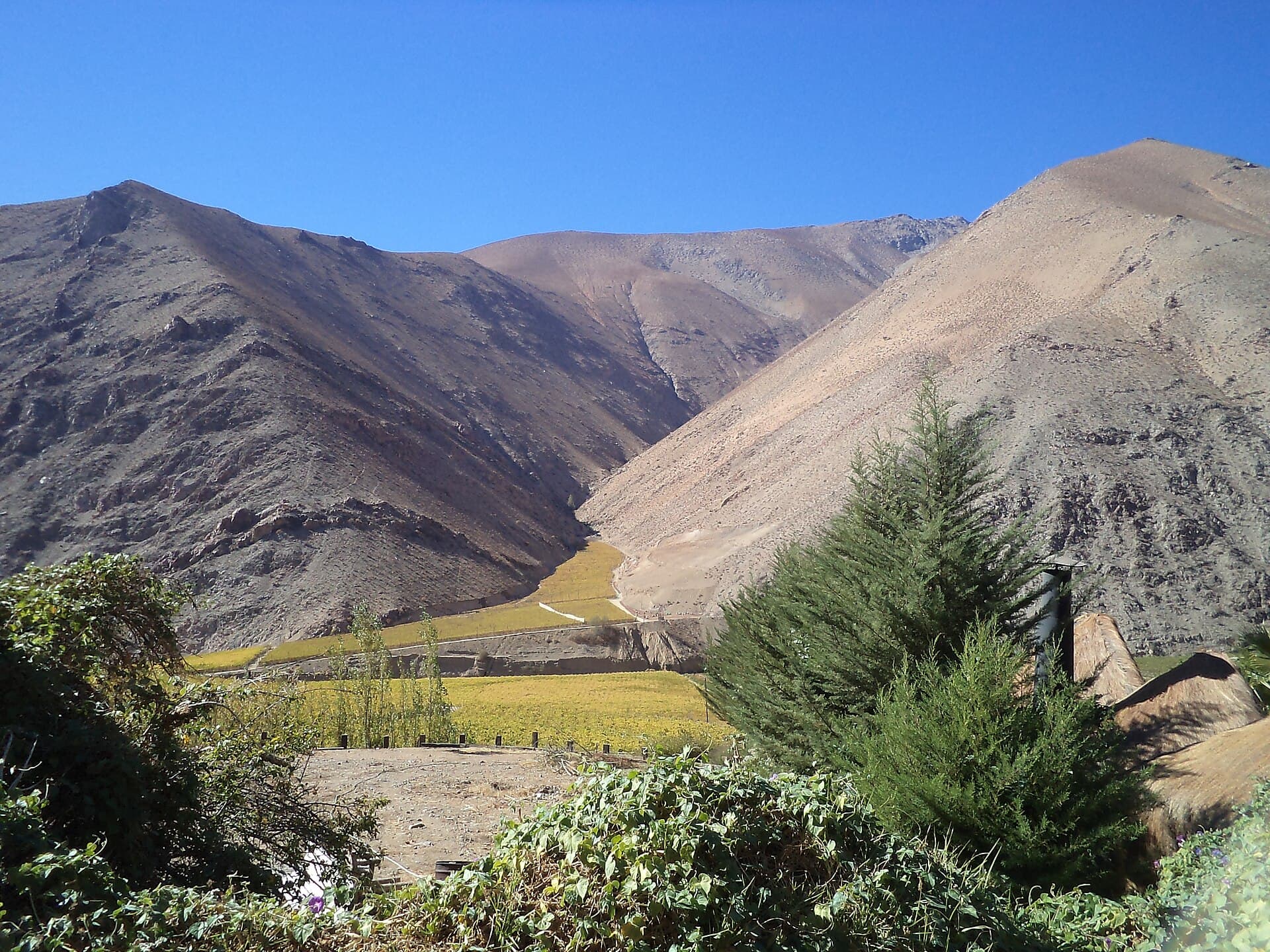 Elqui Valley