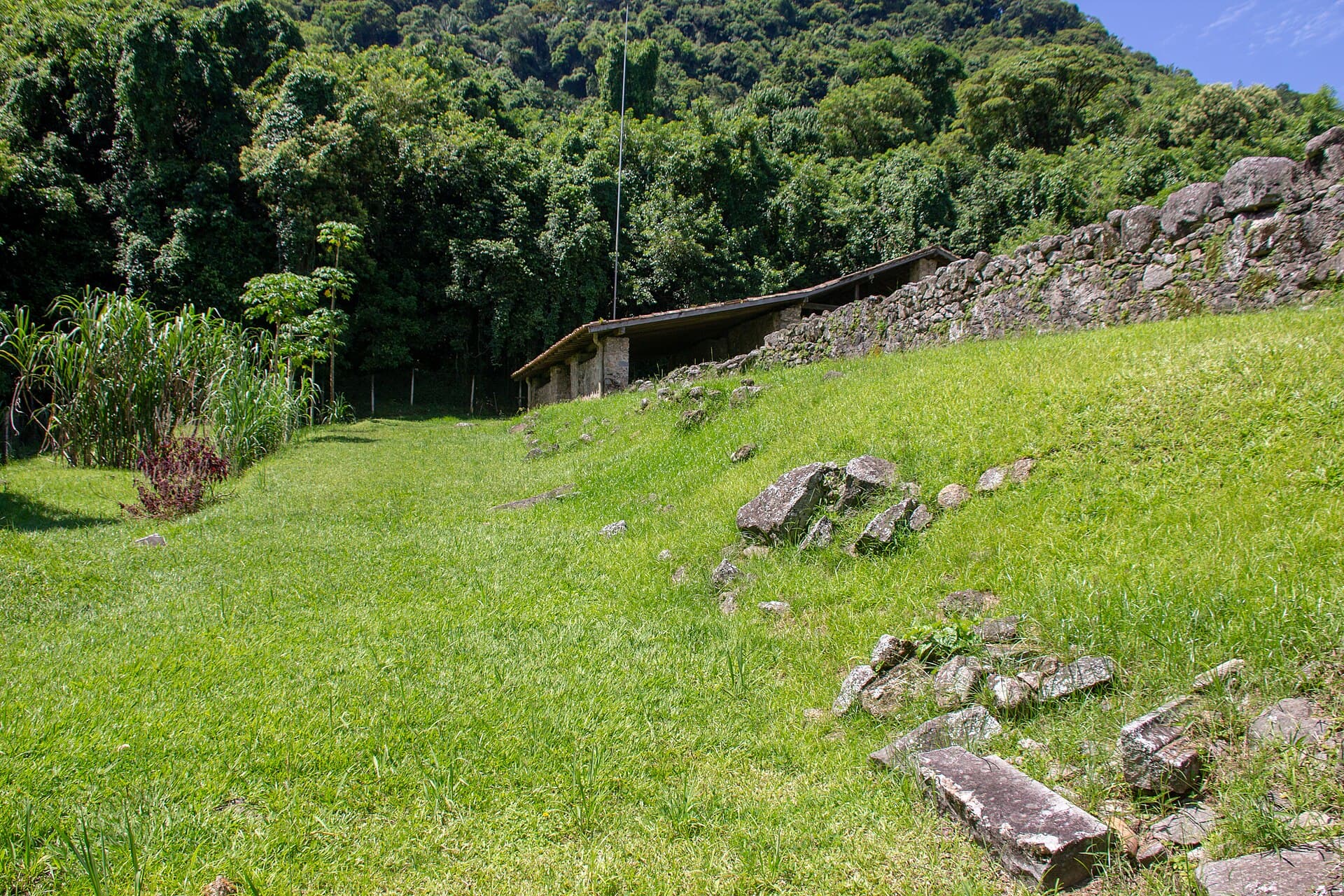 Engenho dos Erasmos ruins, Santos