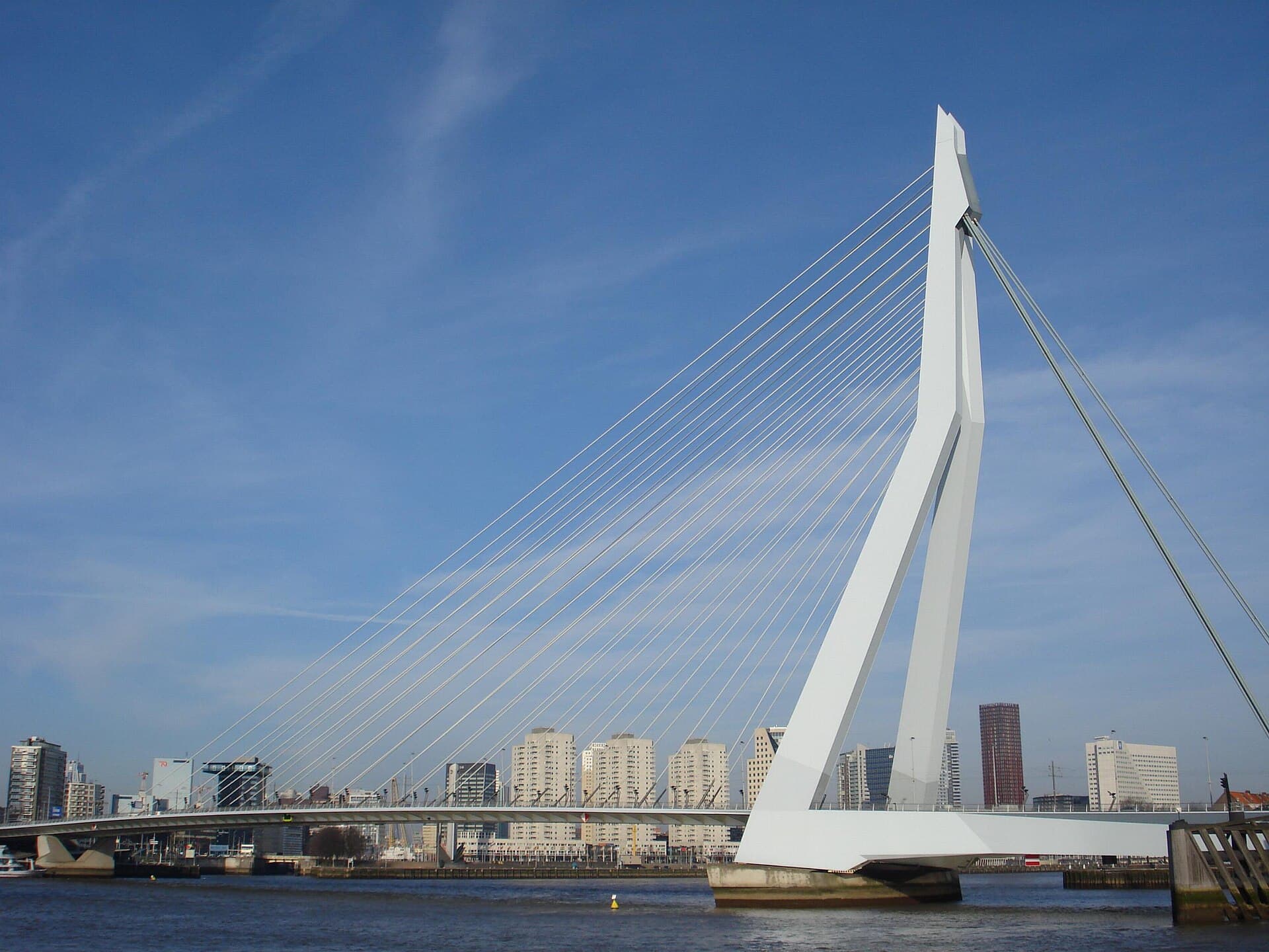 Erasmus Bridge, Rotterdam