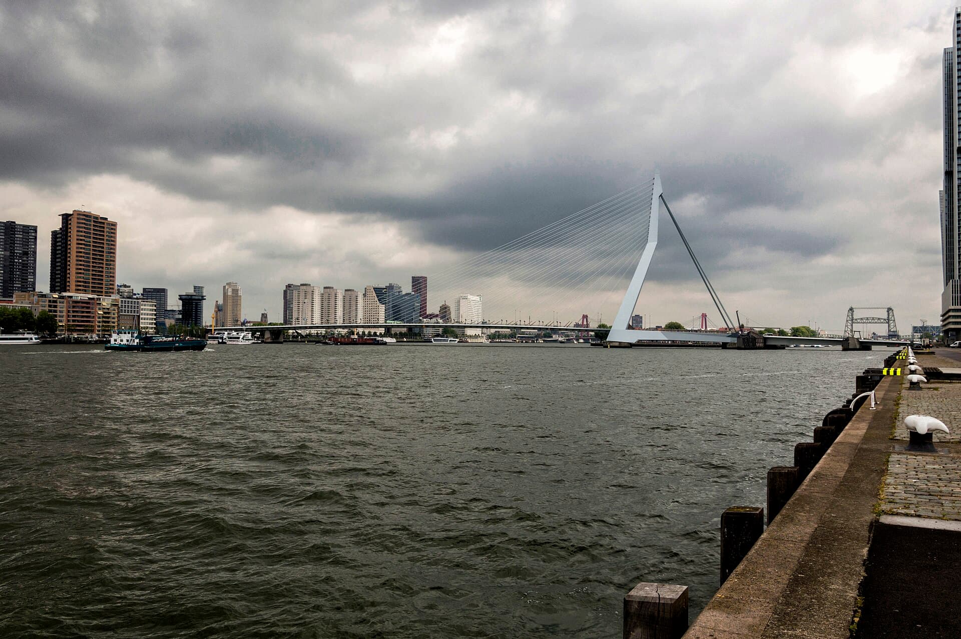 Erasmus Bridge, Rotterdam