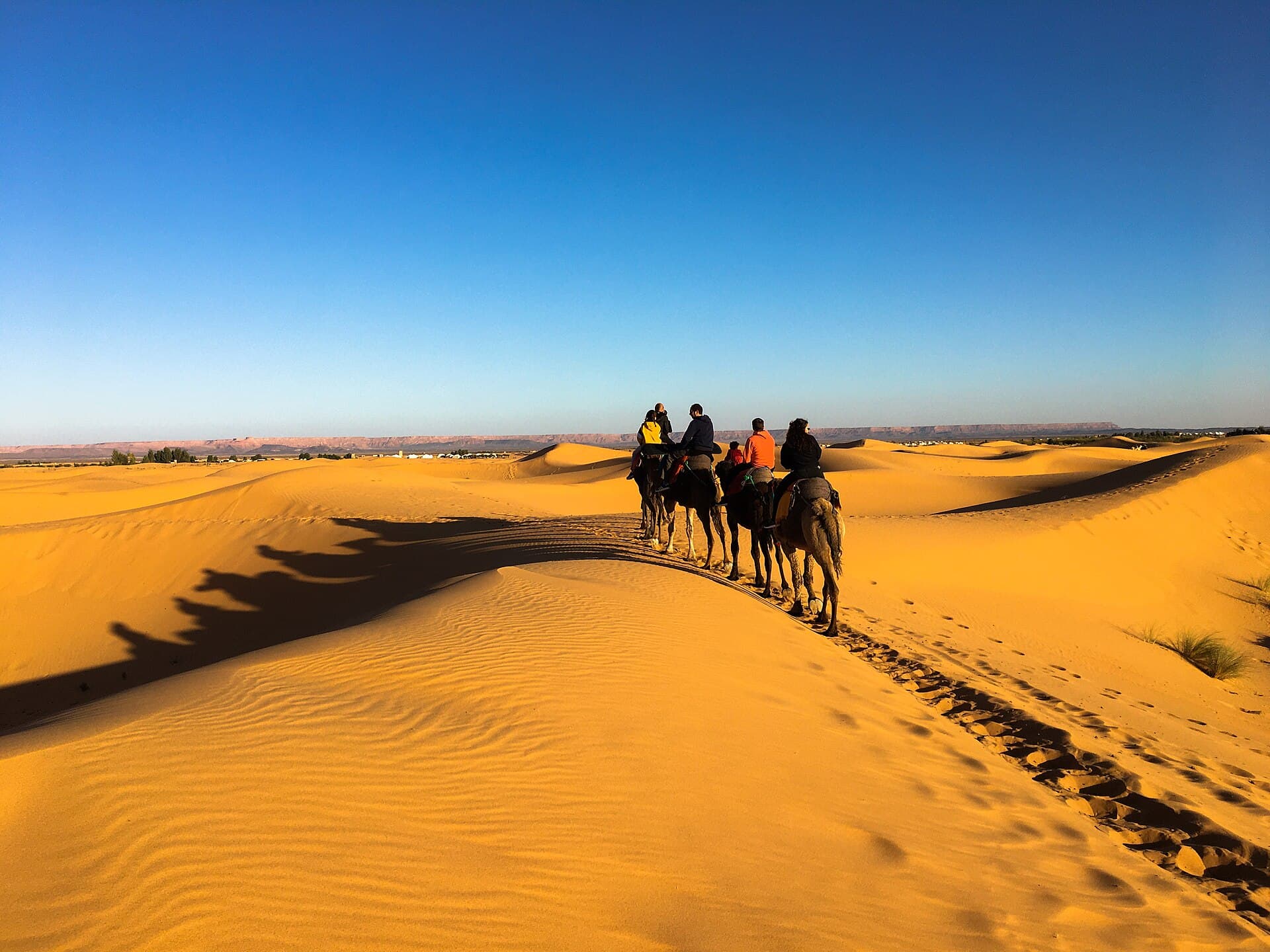 كثبان عرق الشبي