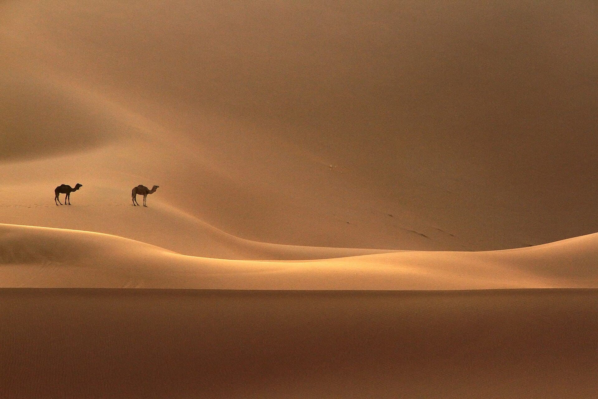 Erg Chigaga Dunes