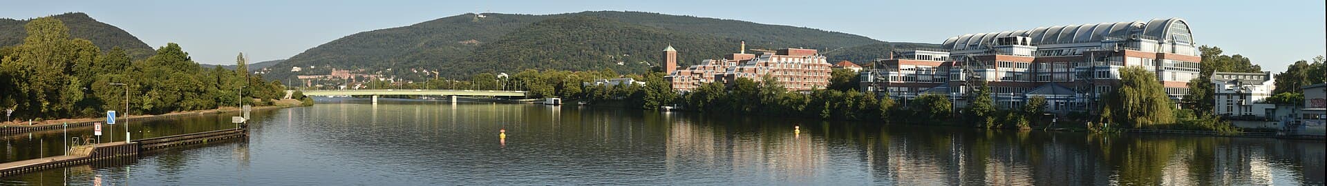 The Ernst Walz Bridge, Heidelberg