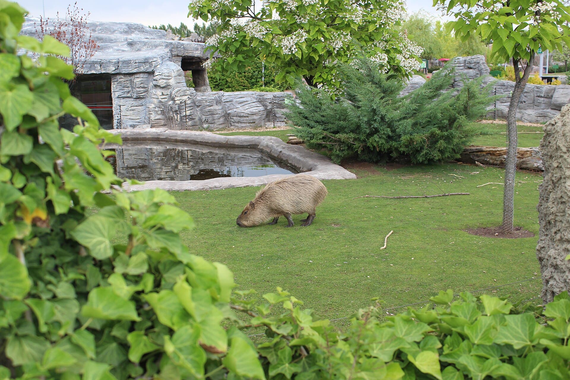 Eskişehir Zoo, Eskişehir