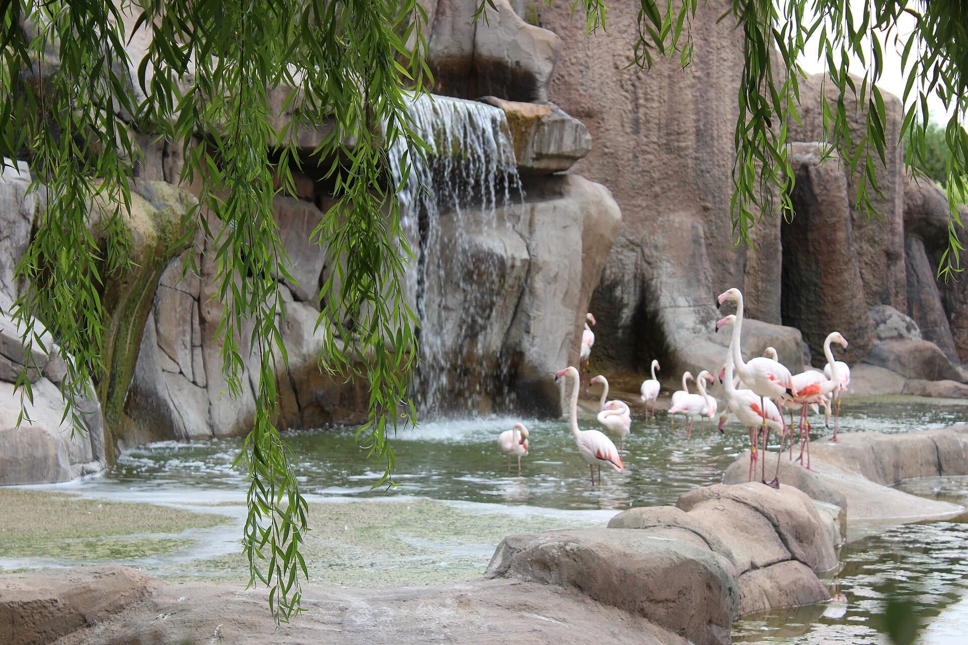 Eskişehir Zoo, Eskişehir