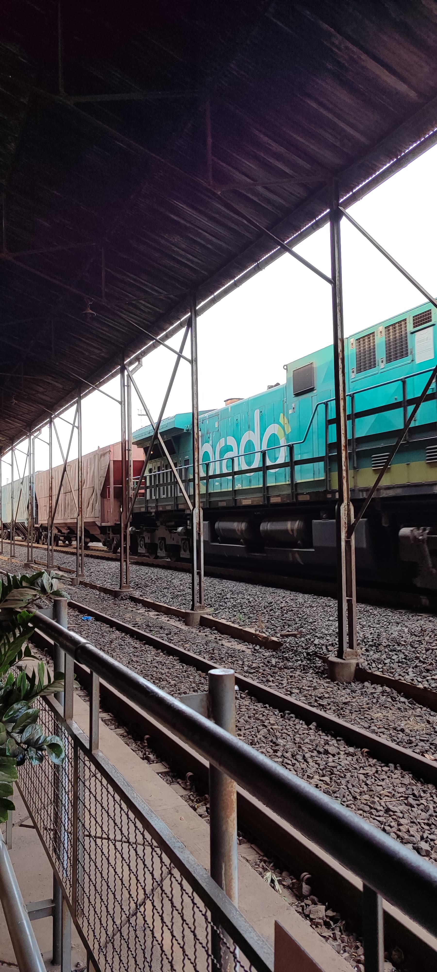 Estação Ferroviária de São Carlos, São Carlos