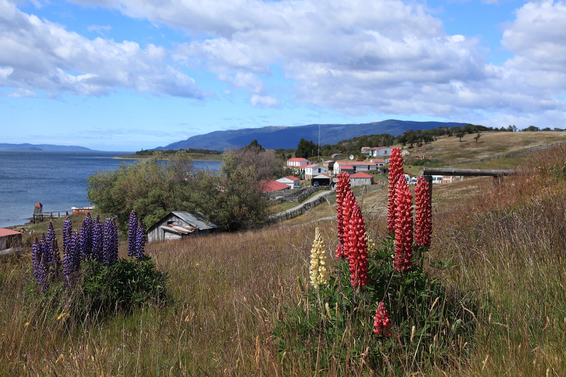 Estancia Harberton, Ushuaia