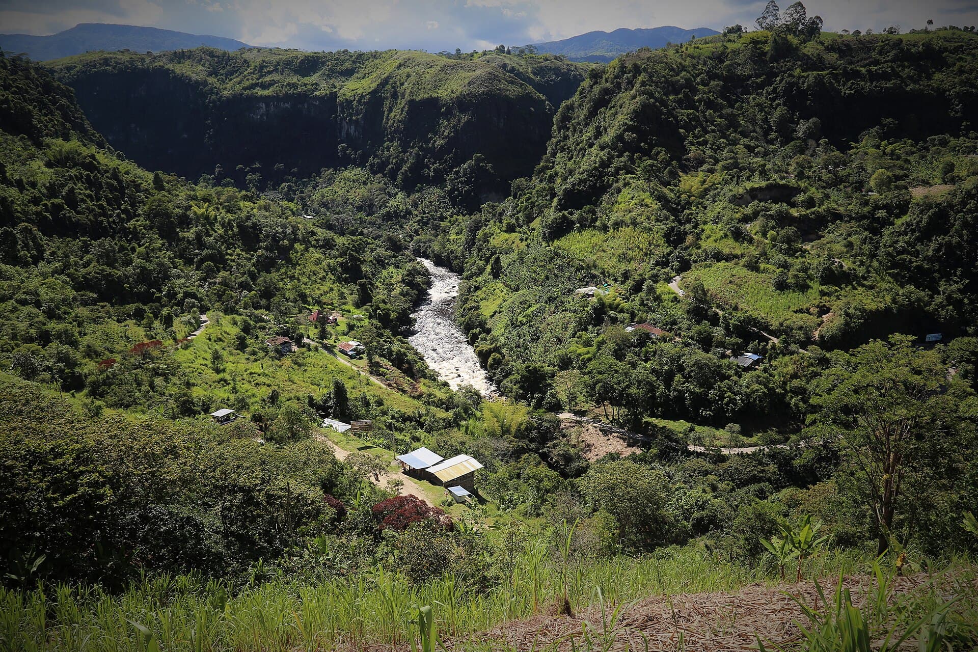 Magdalena River gorge
