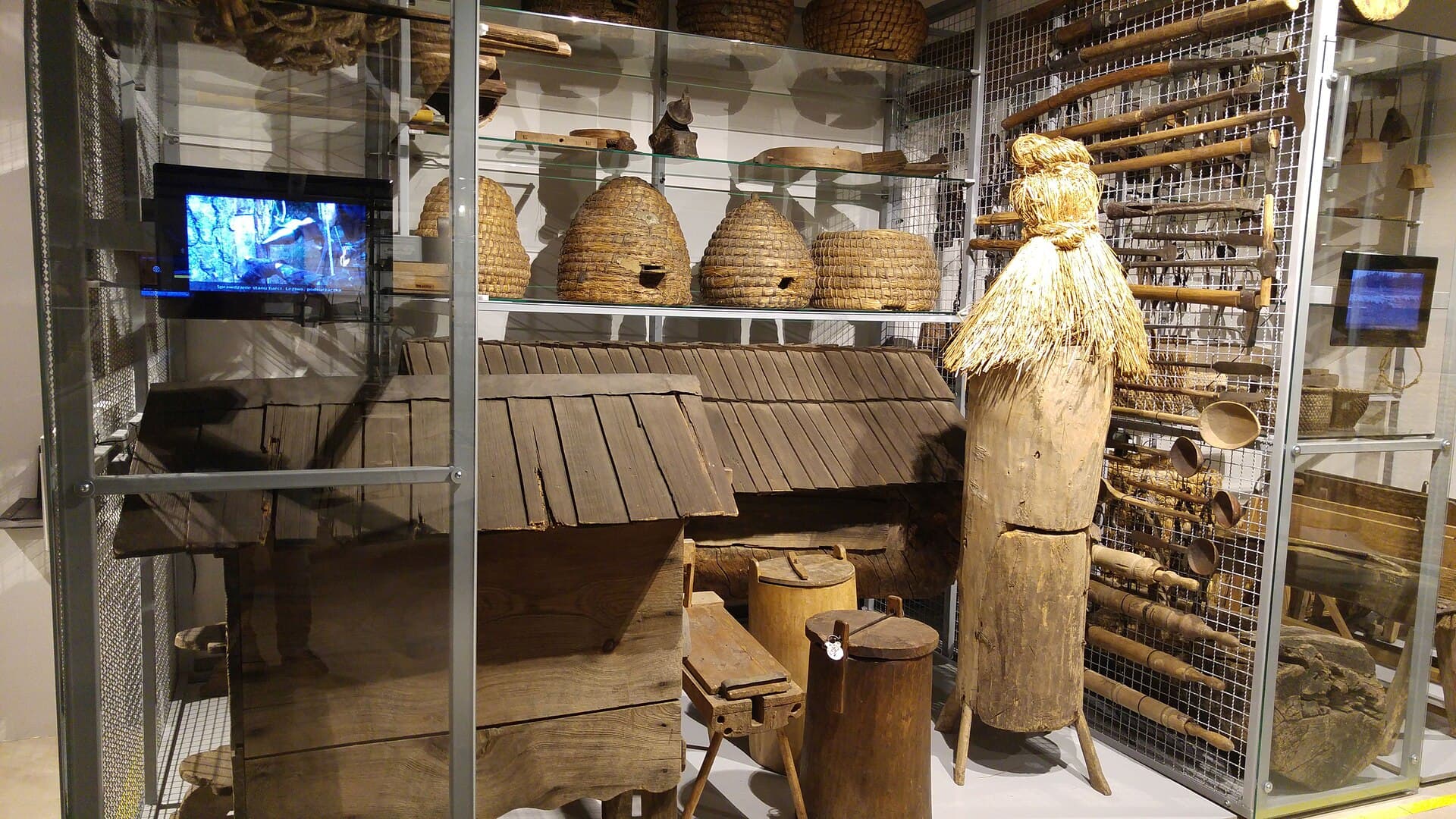 State Ethnographic Museum, Warsaw