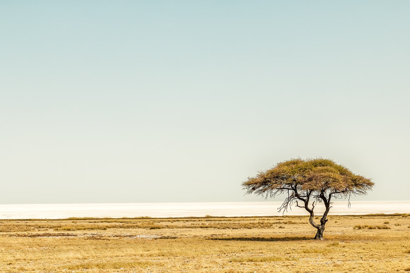 Etosha Pan