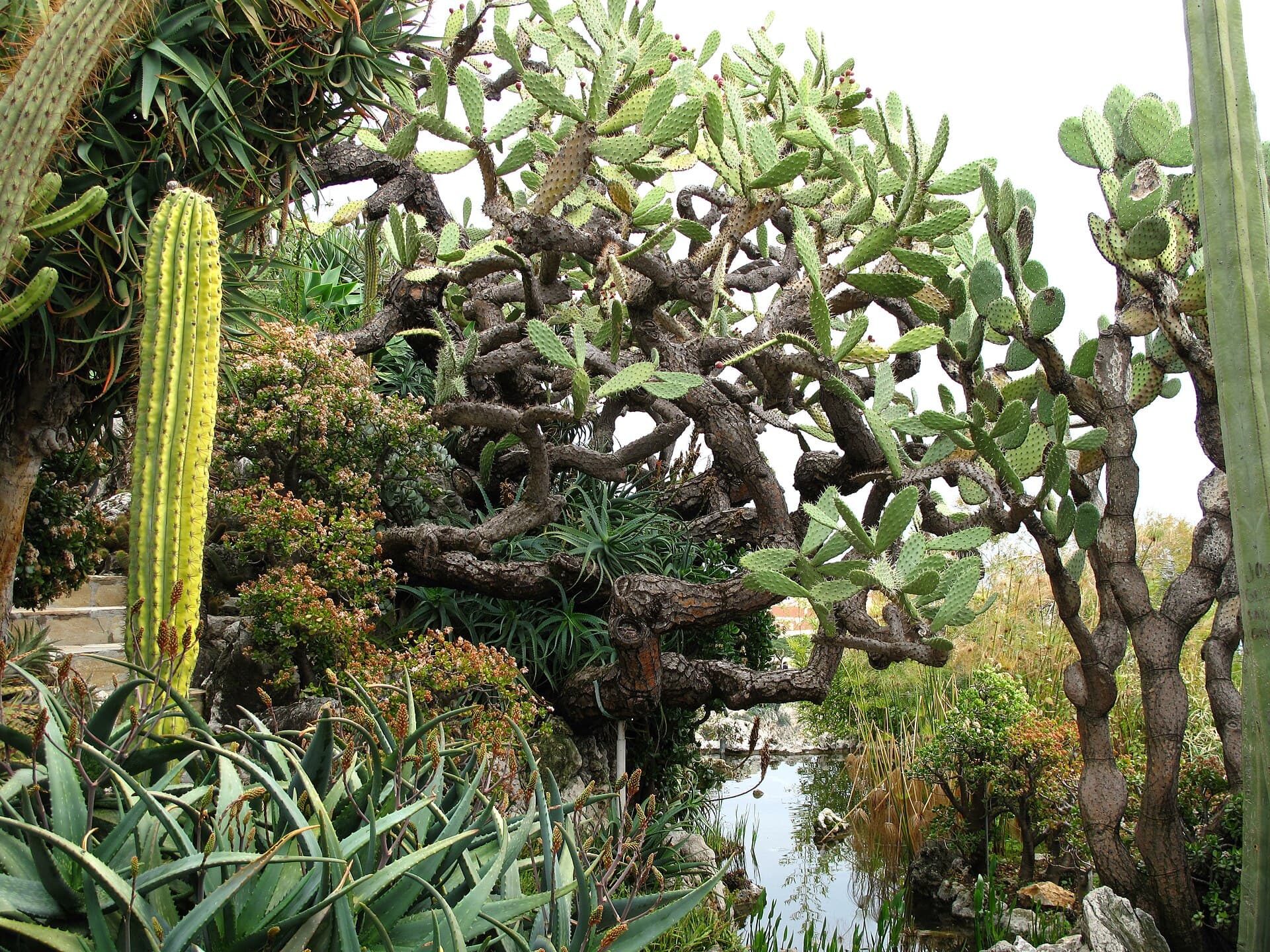 Exotic Garden and Observatory Cave