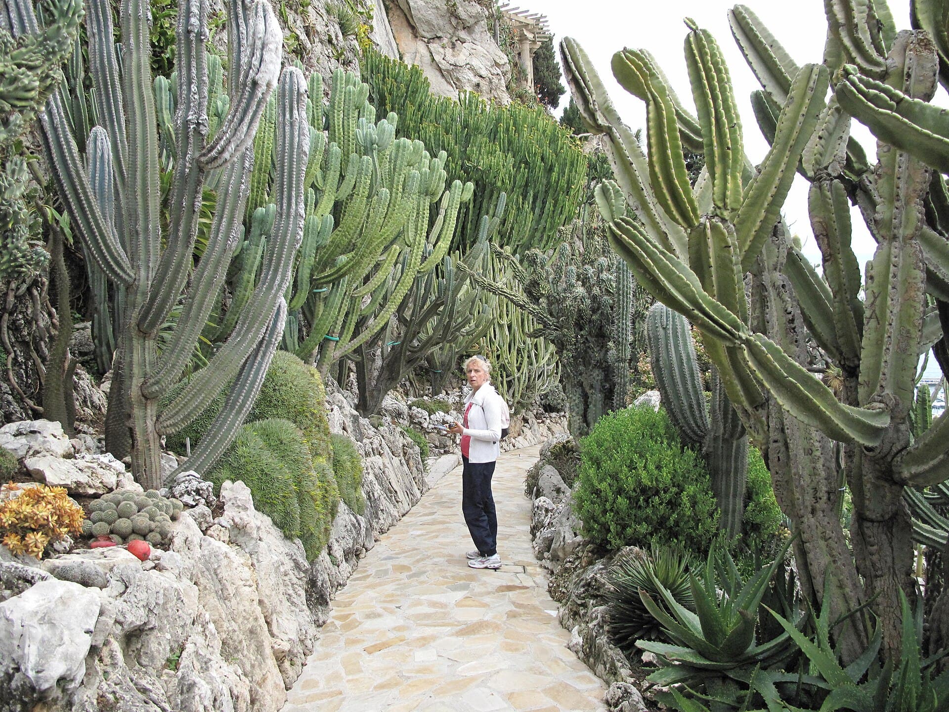 Exotic Garden and Observatory Cave