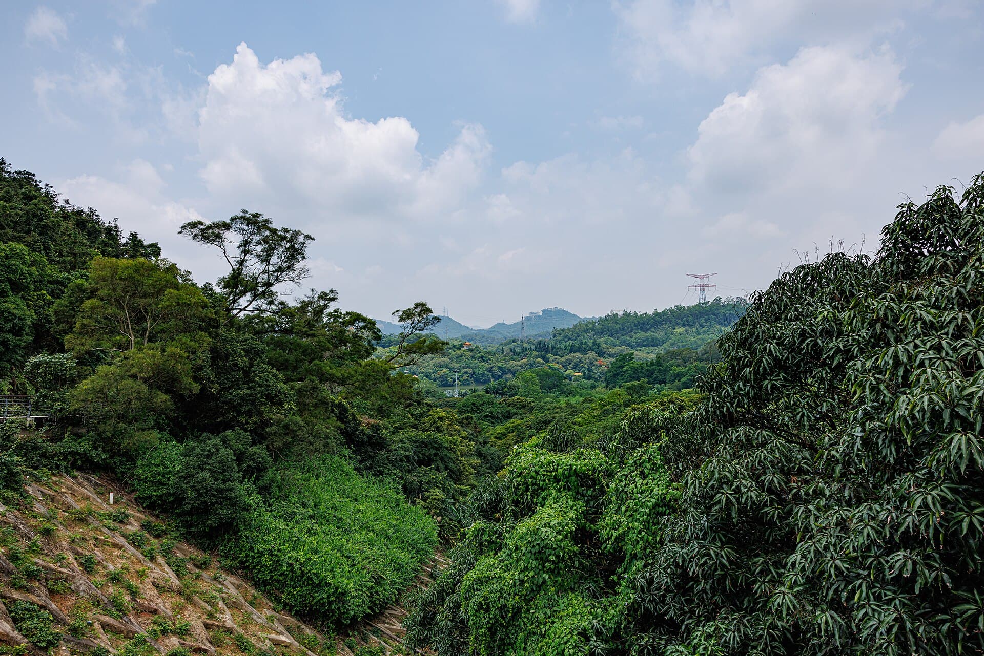 Fairy Lake Botanical Garden (Xianhu)
