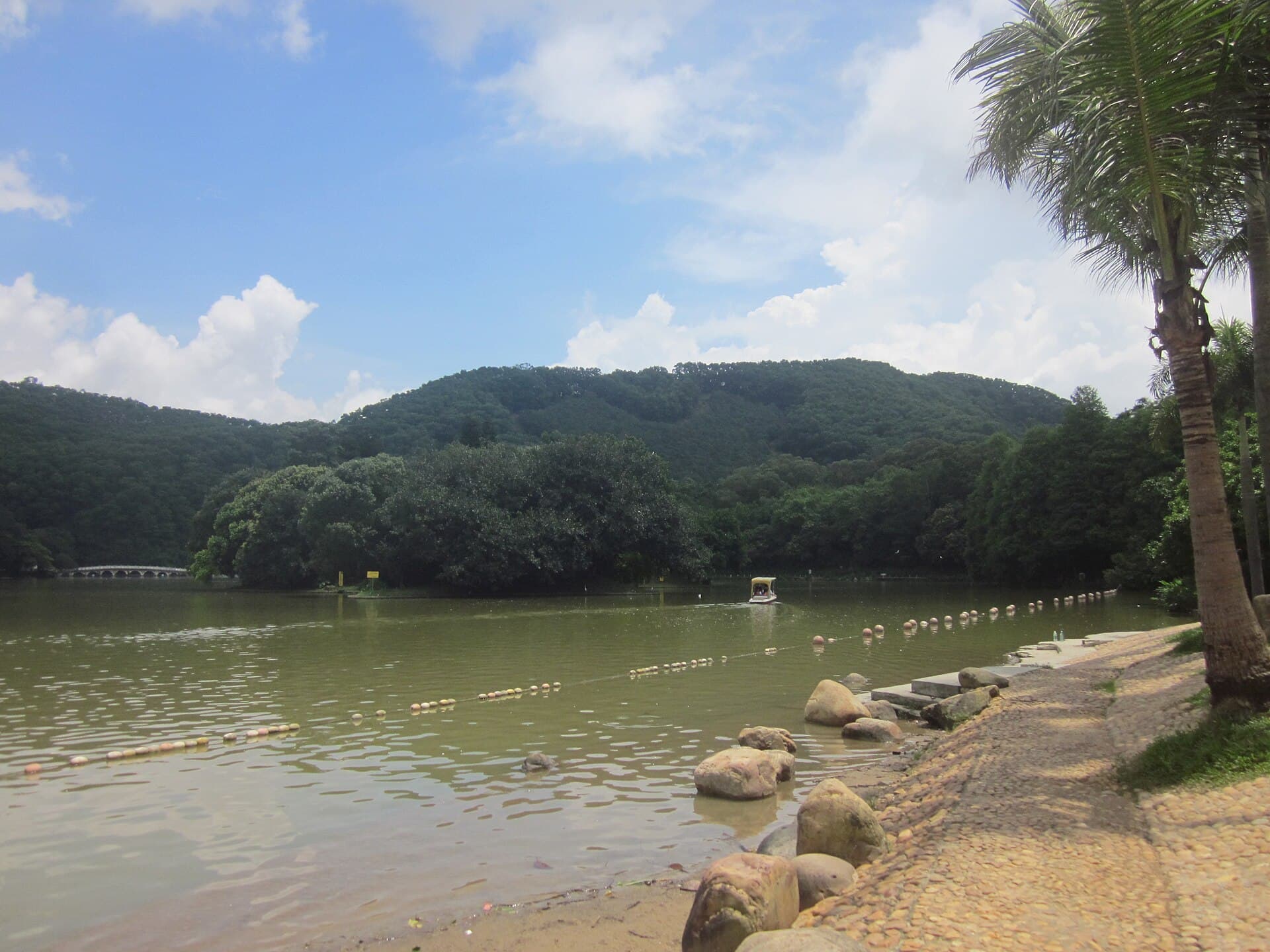 Fairy Lake Botanical Garden (Xianhu)