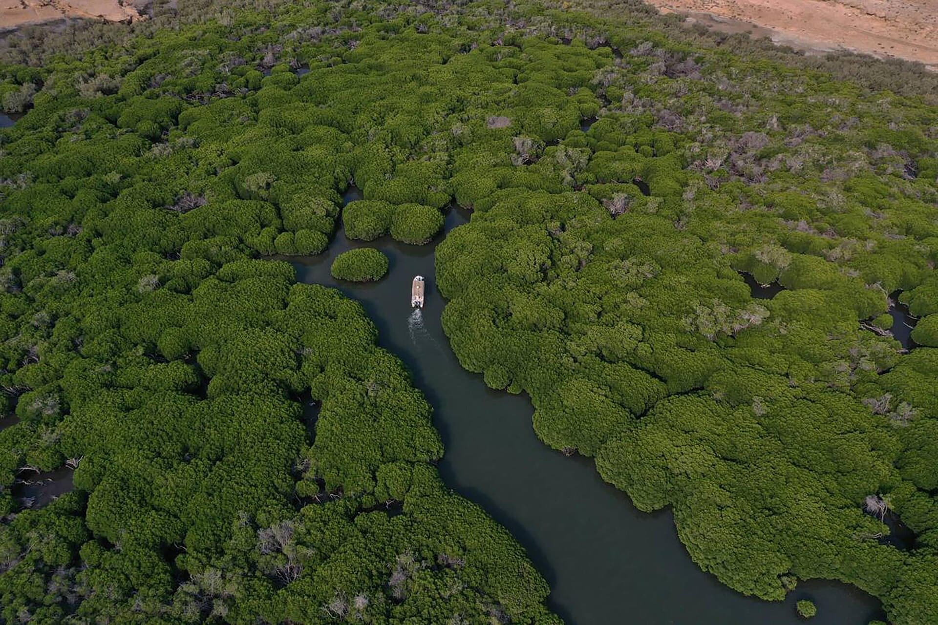 Farasan Islands