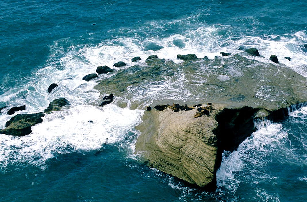 Punta Delgada Lighthouse and Elephant Seals, Puerto Madryn